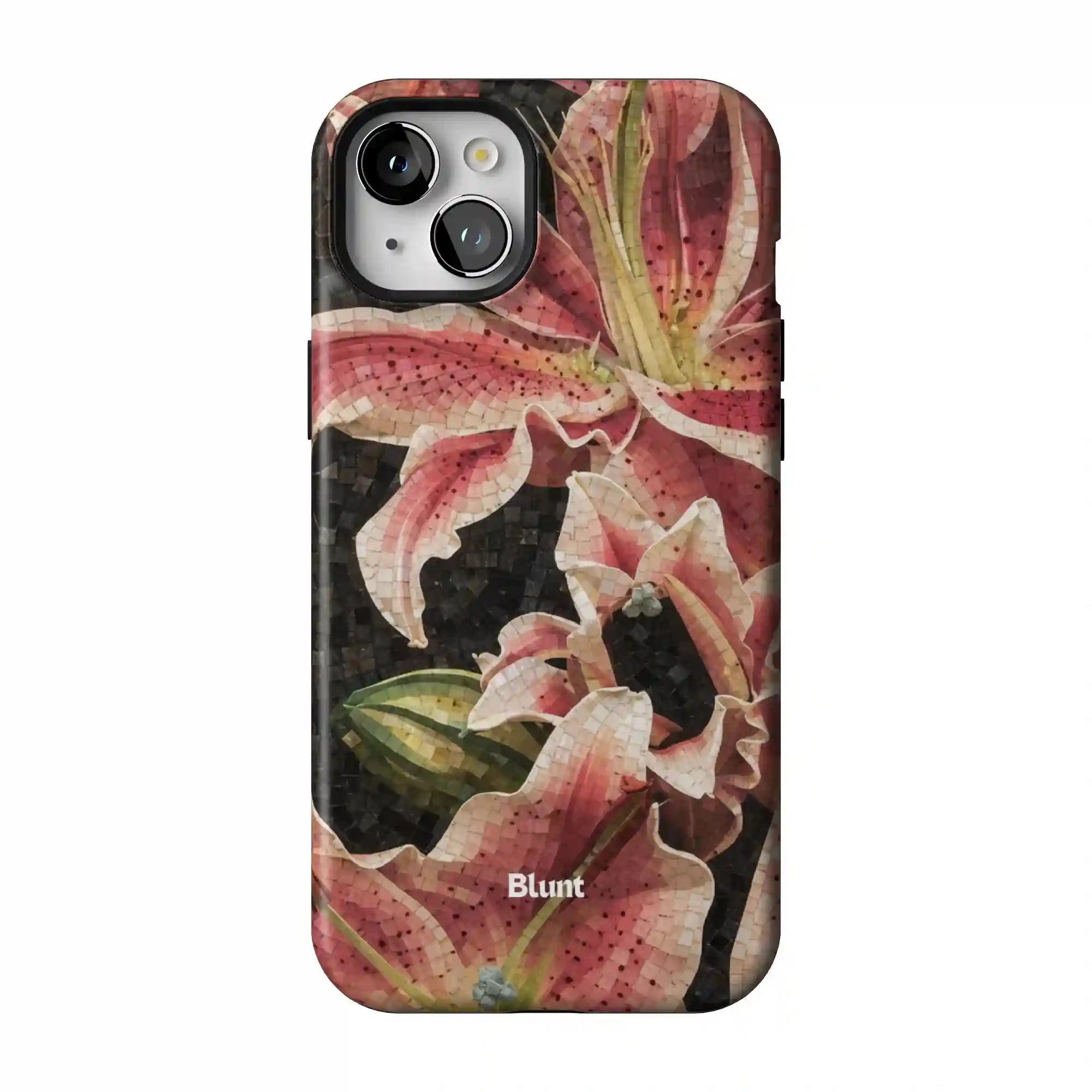 bluntcasesonline.com