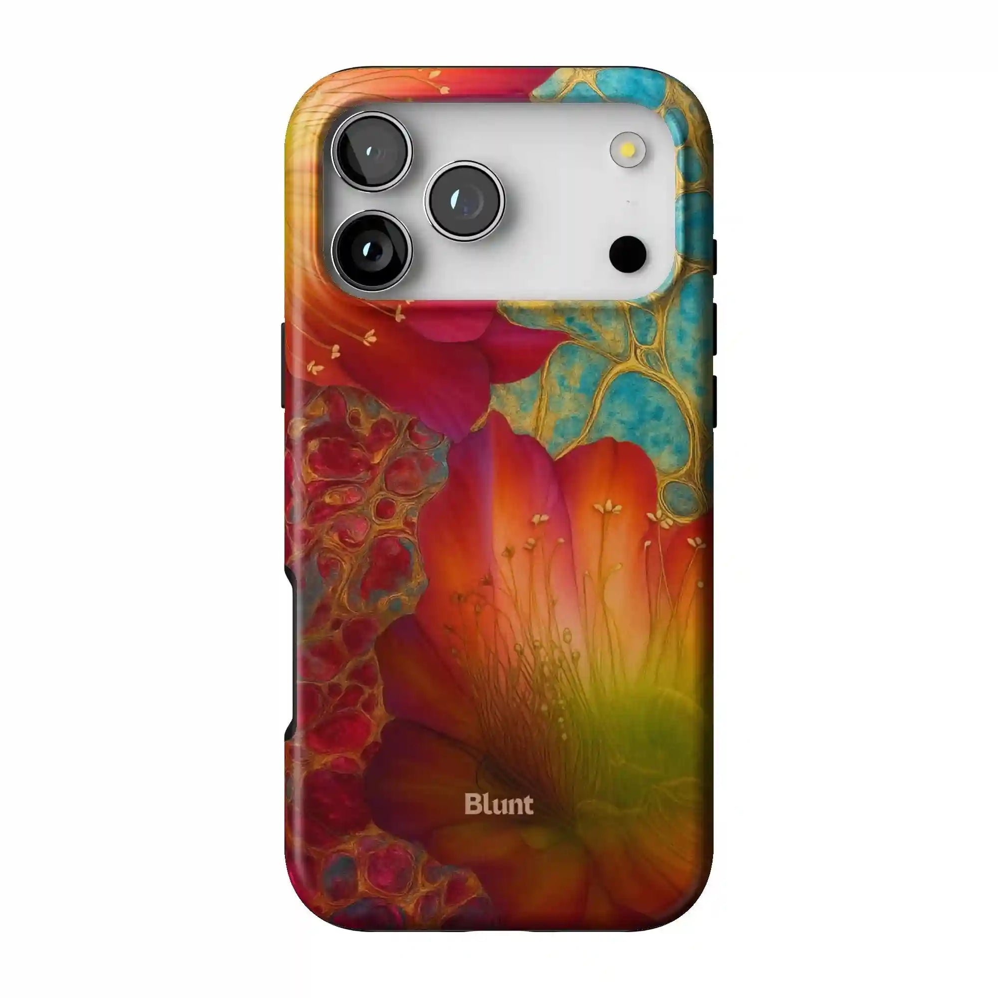 bluntcasesonline.com