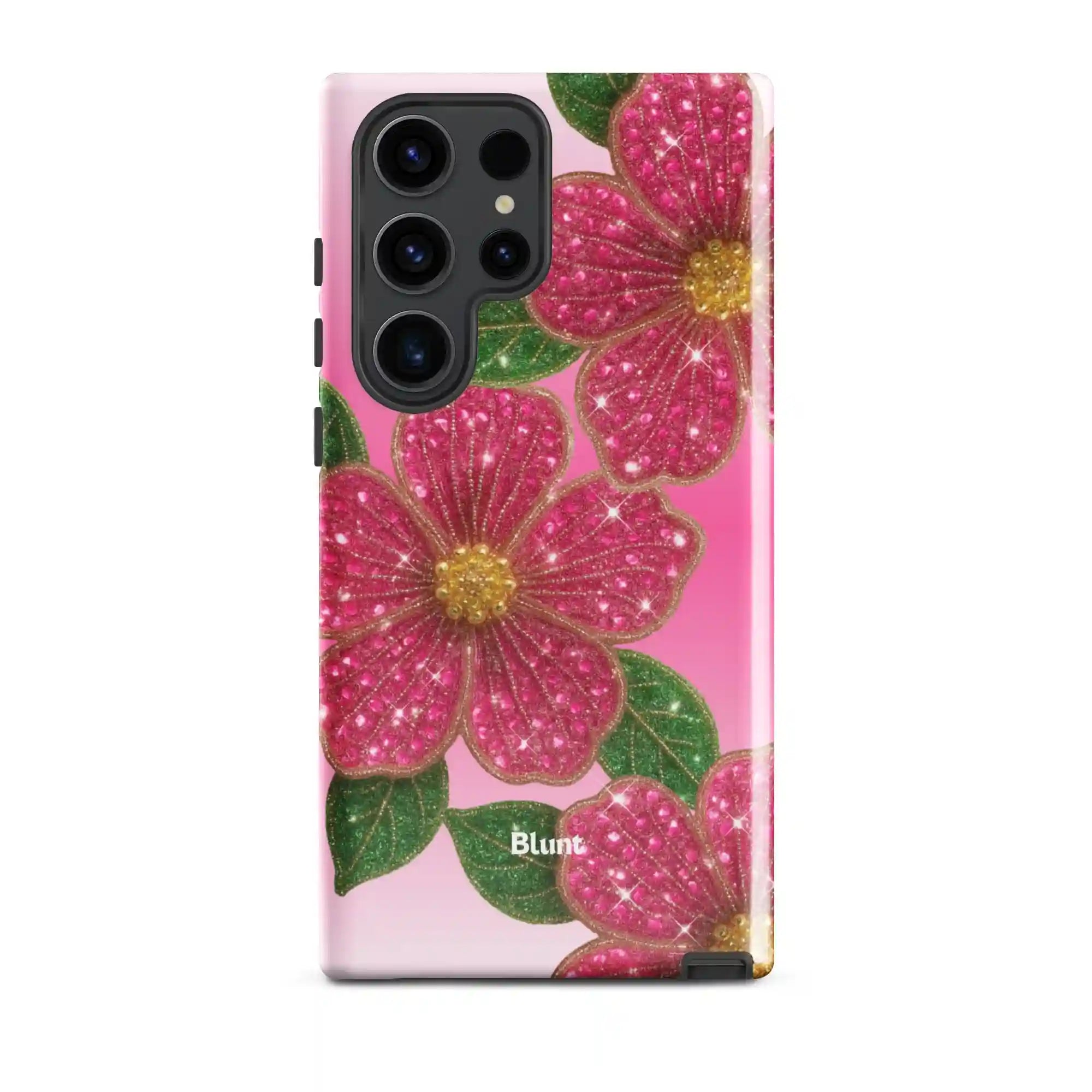 bluntcasesonline.com