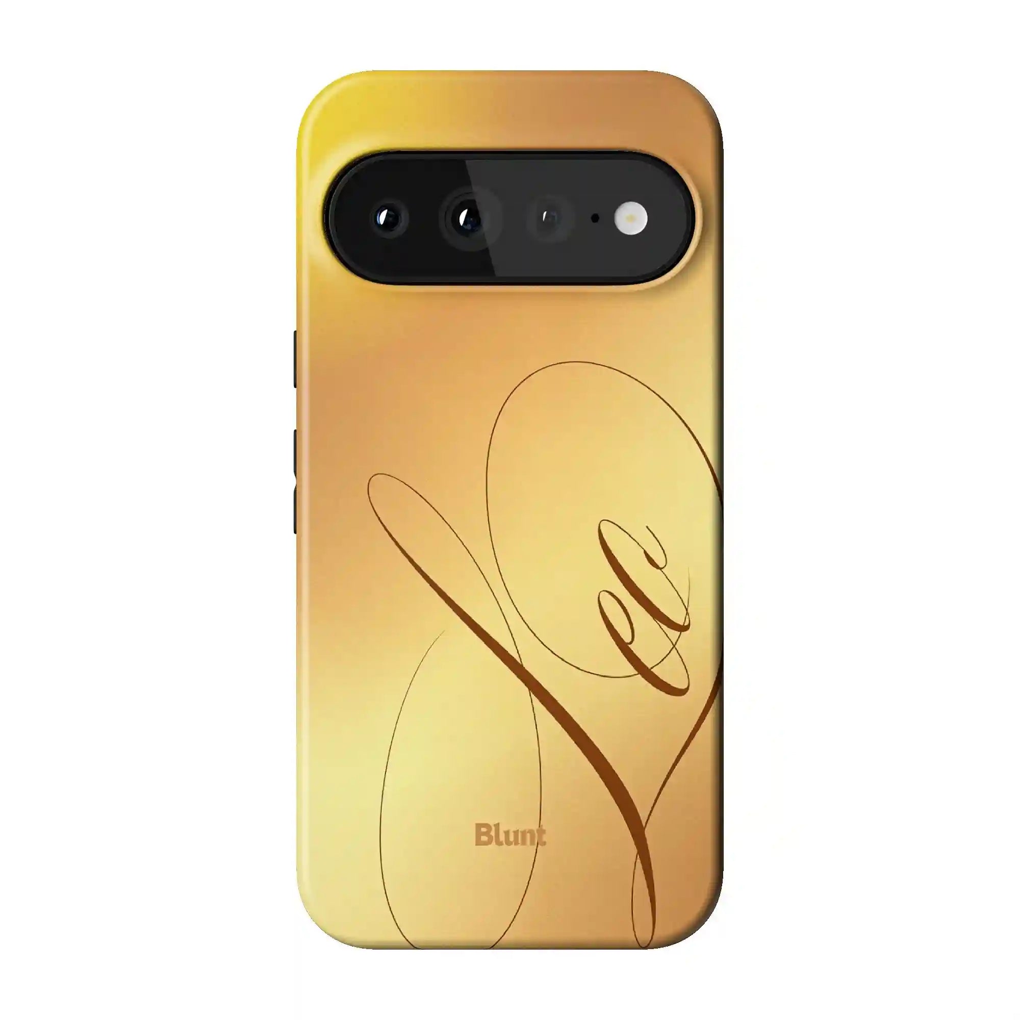 bluntcasesonline.com