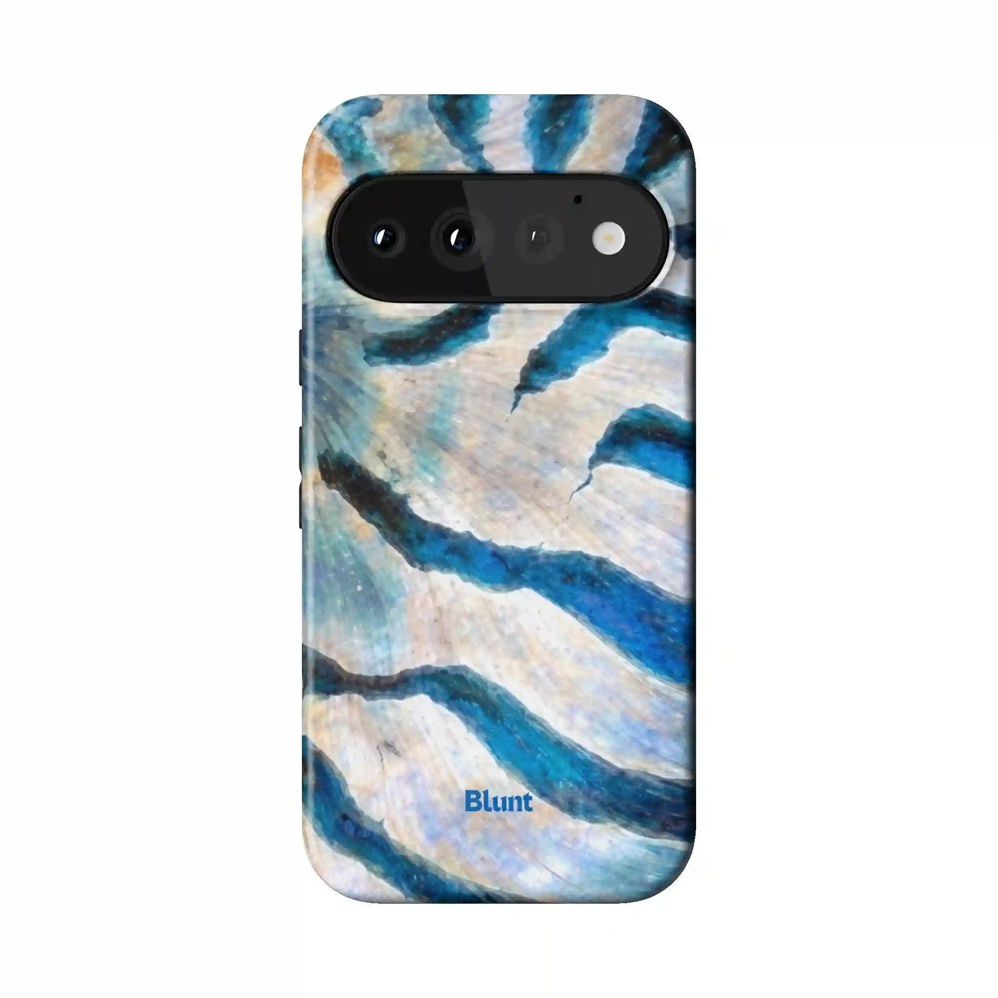 bluntcasesonline.com