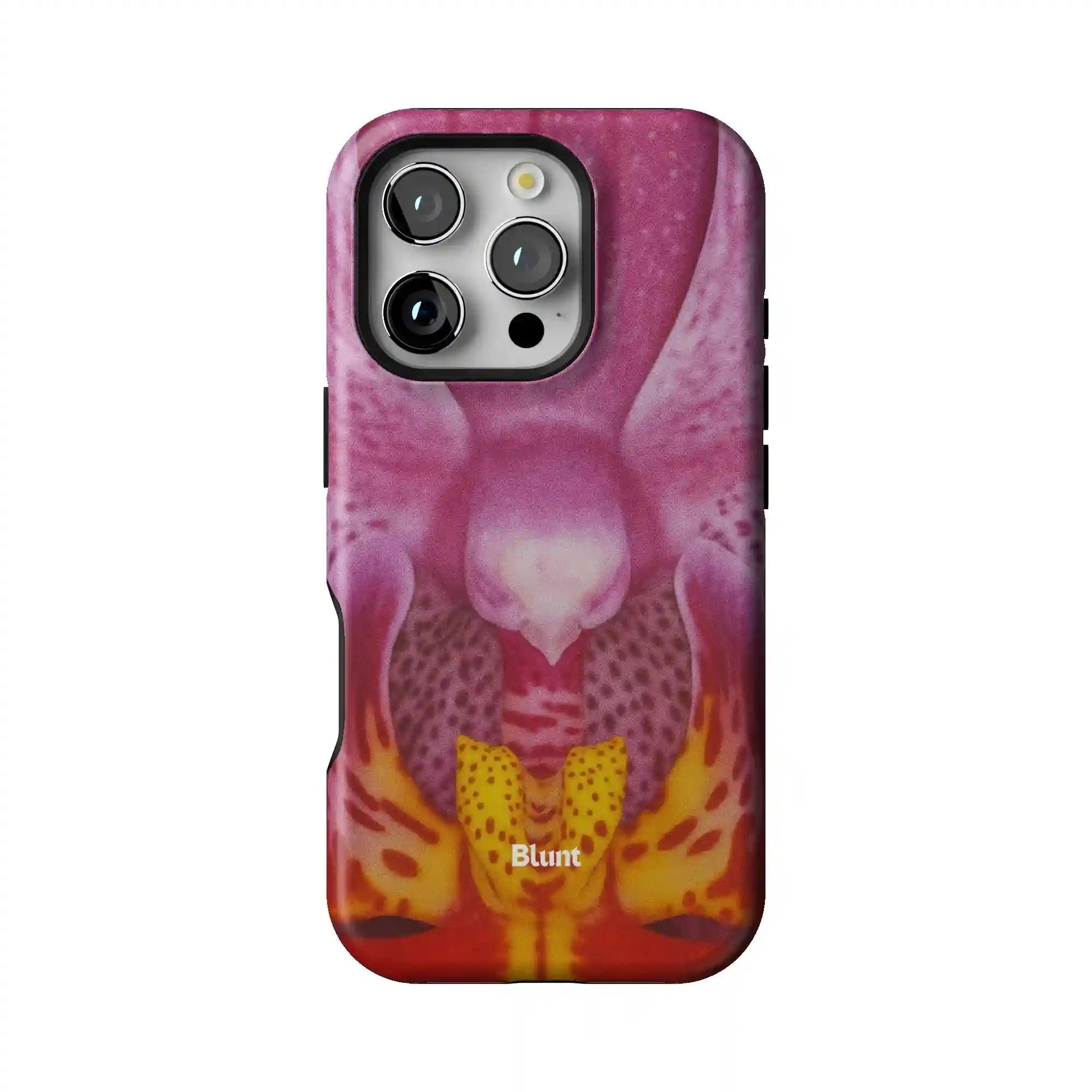 bluntcasesonline.com