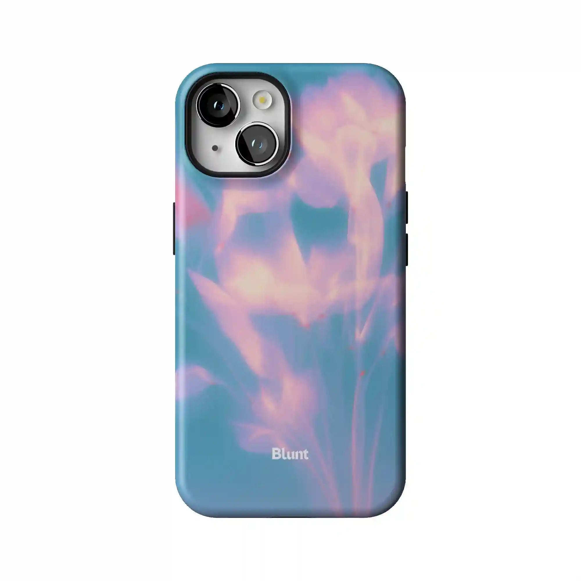 bluntcasesonline.com