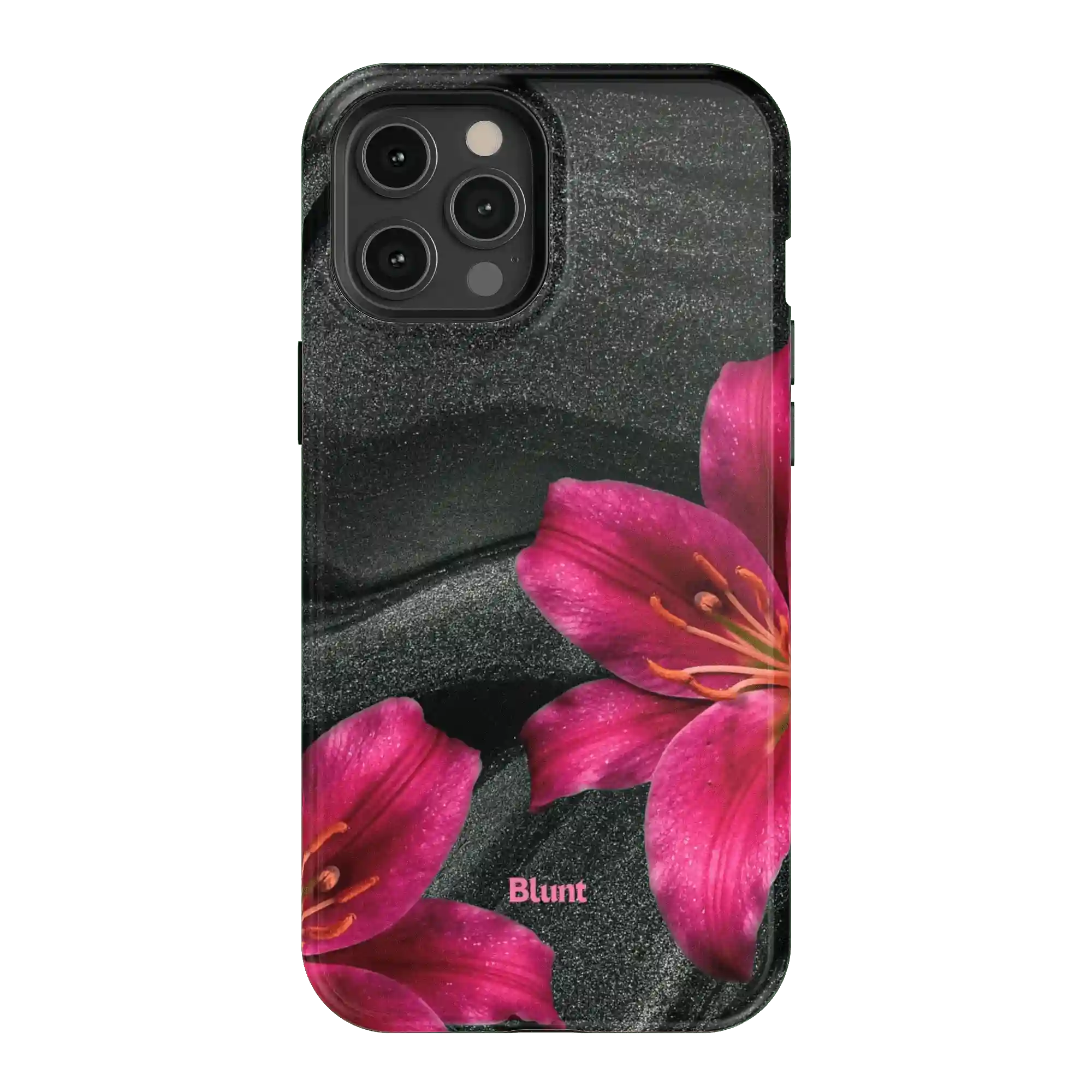 bluntcasesonline.com