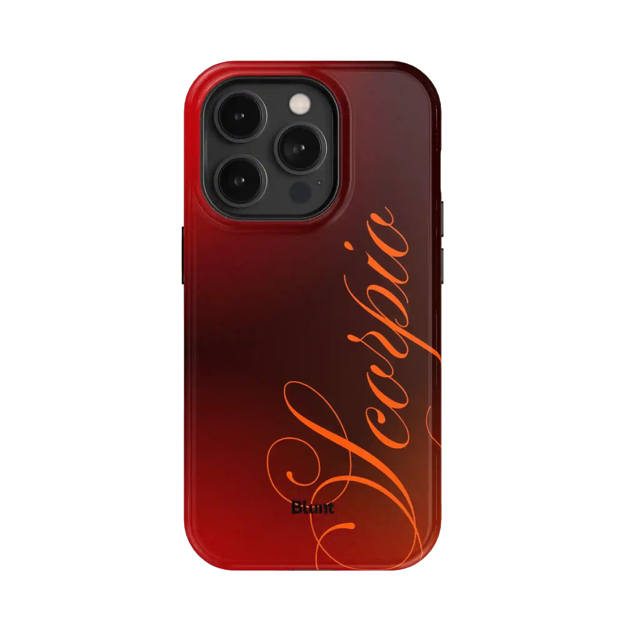 bluntcasesonline.com