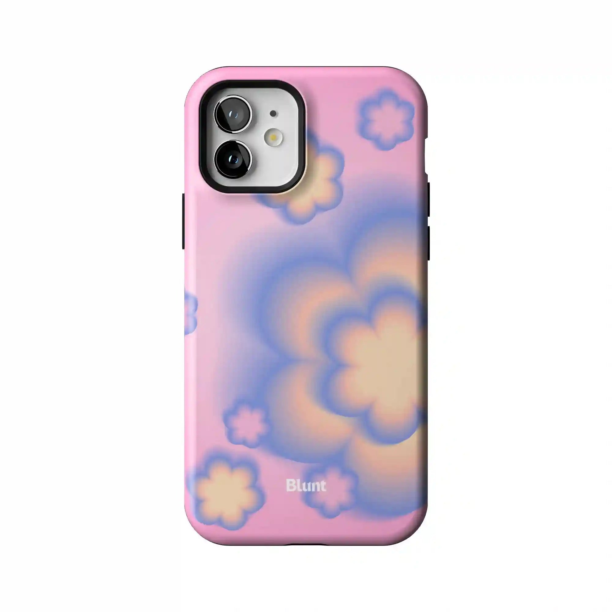 bluntcasesonline.com