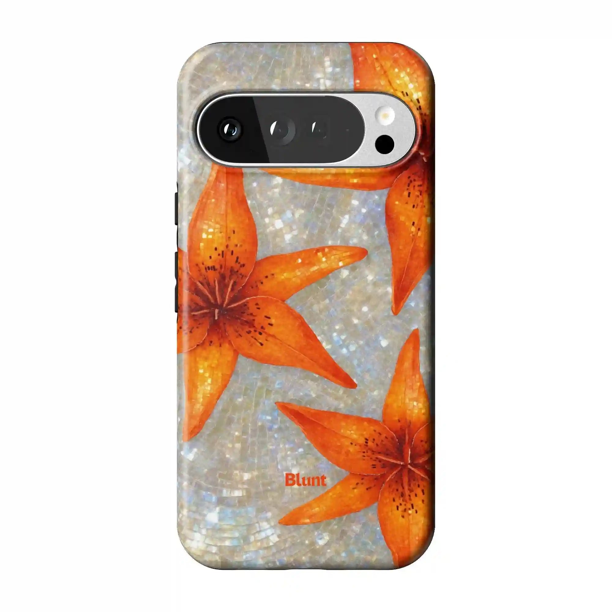 bluntcasesonline.com