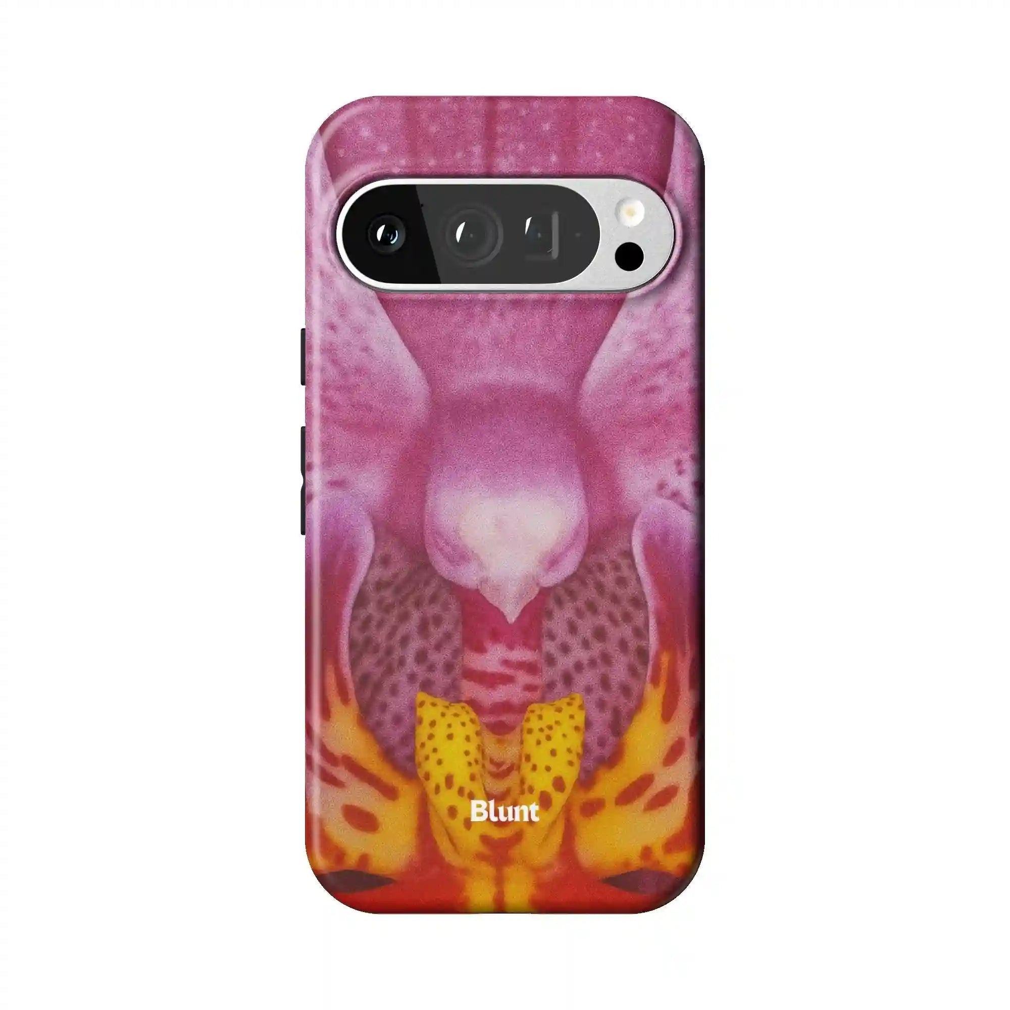 bluntcasesonline.com