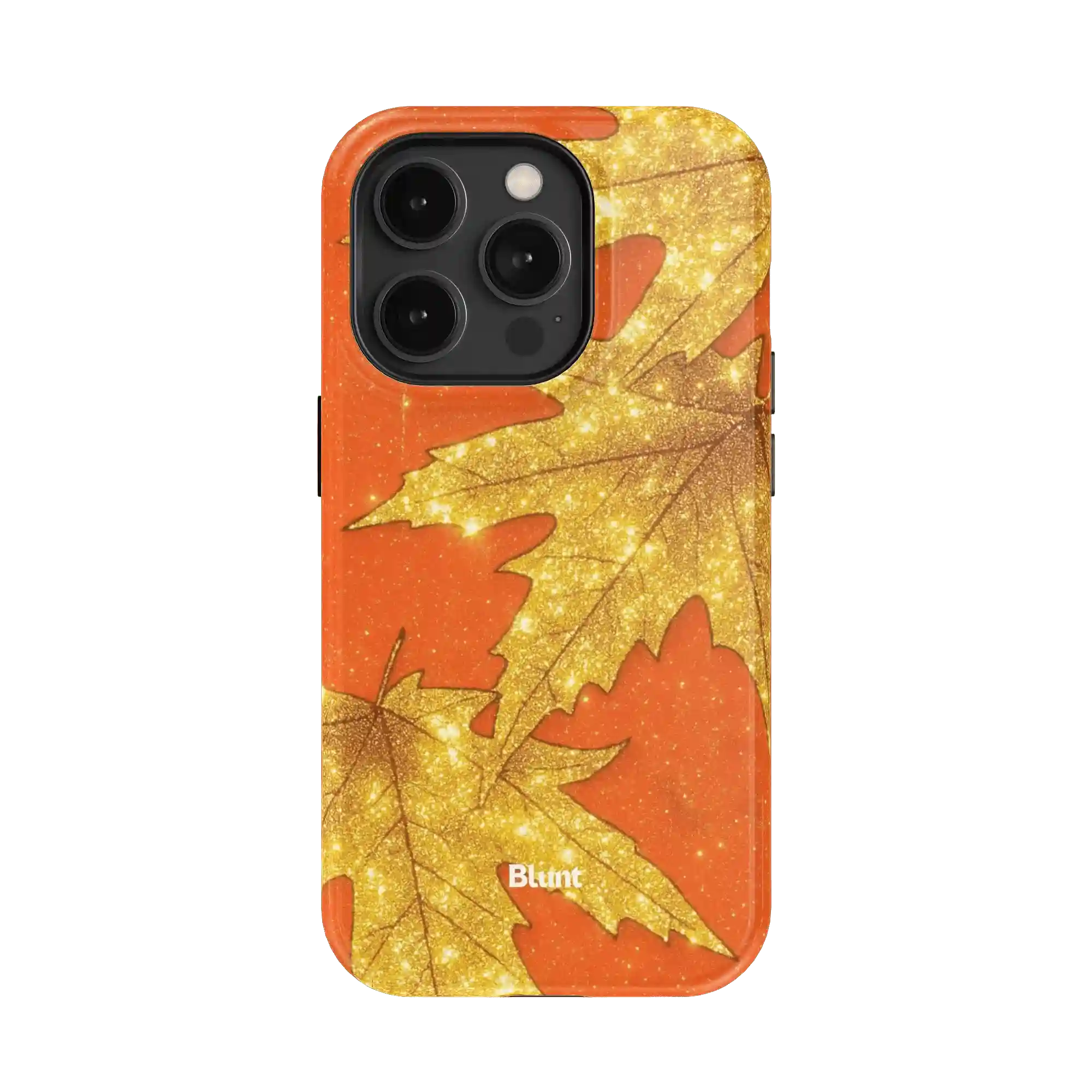 bluntcasesonline.com