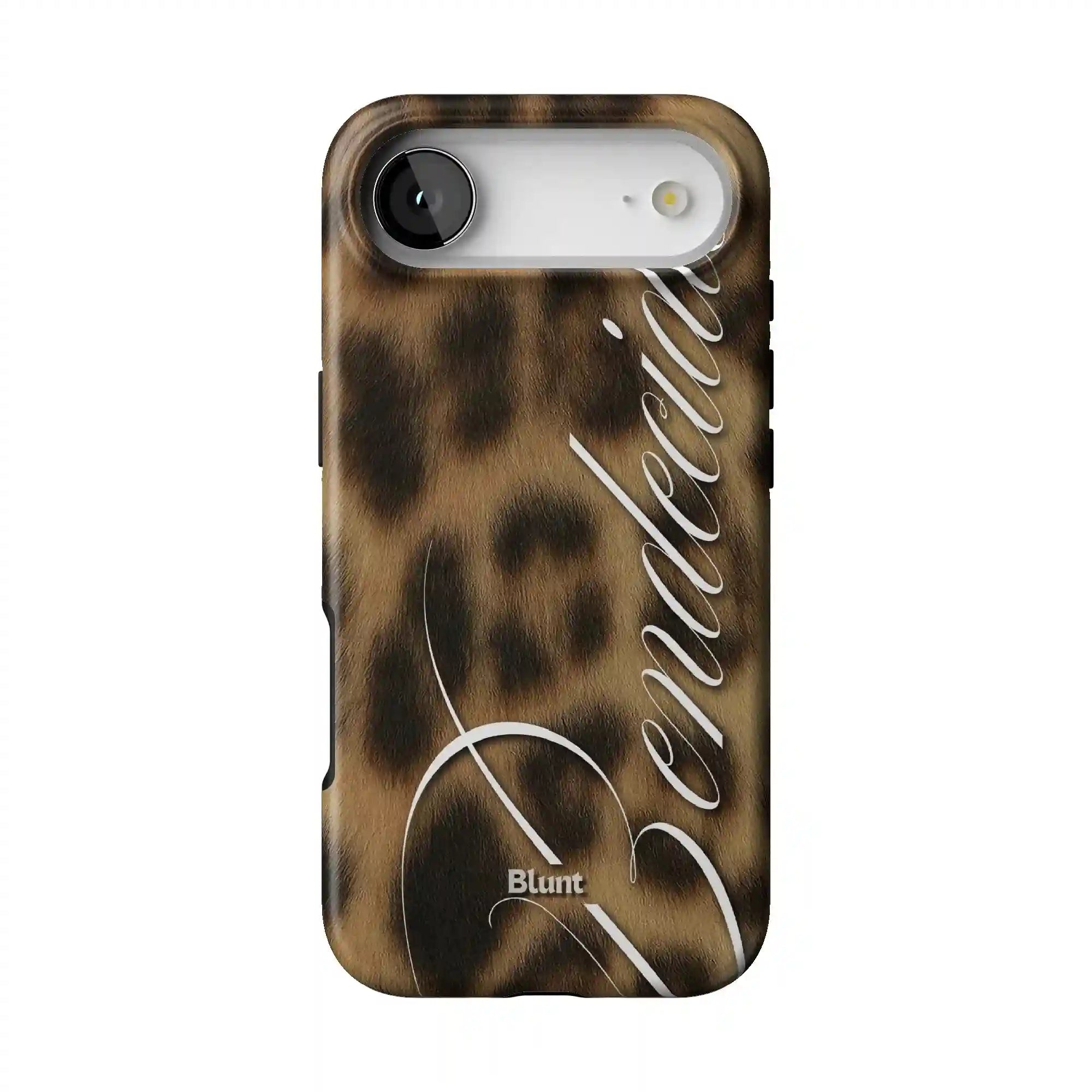 bluntcasesonline.com
