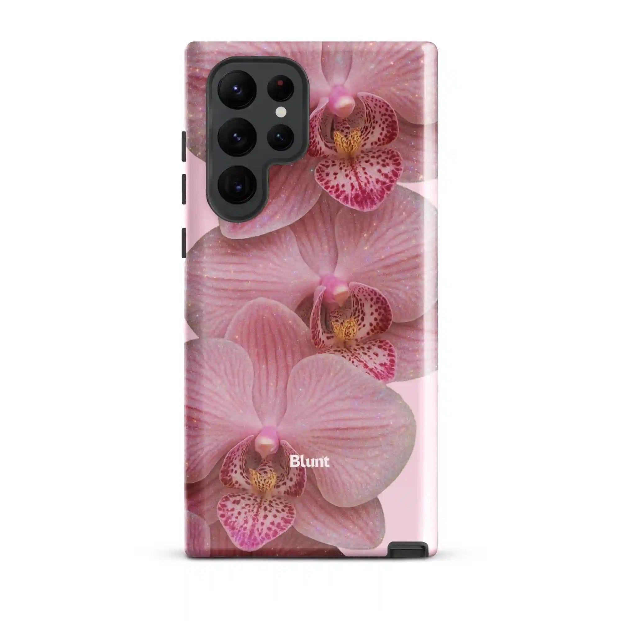 bluntcasesonline.com