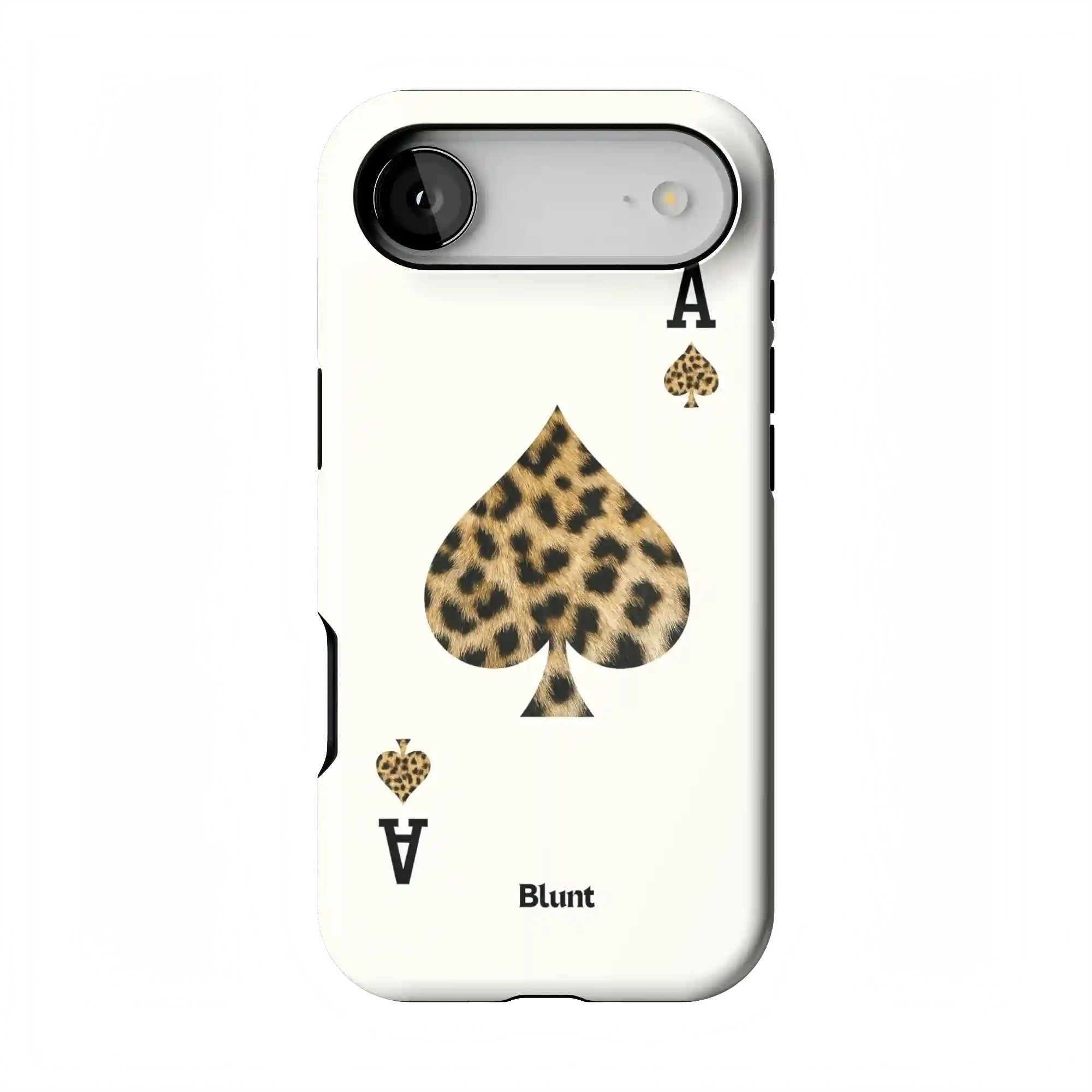 bluntcasesonline.com