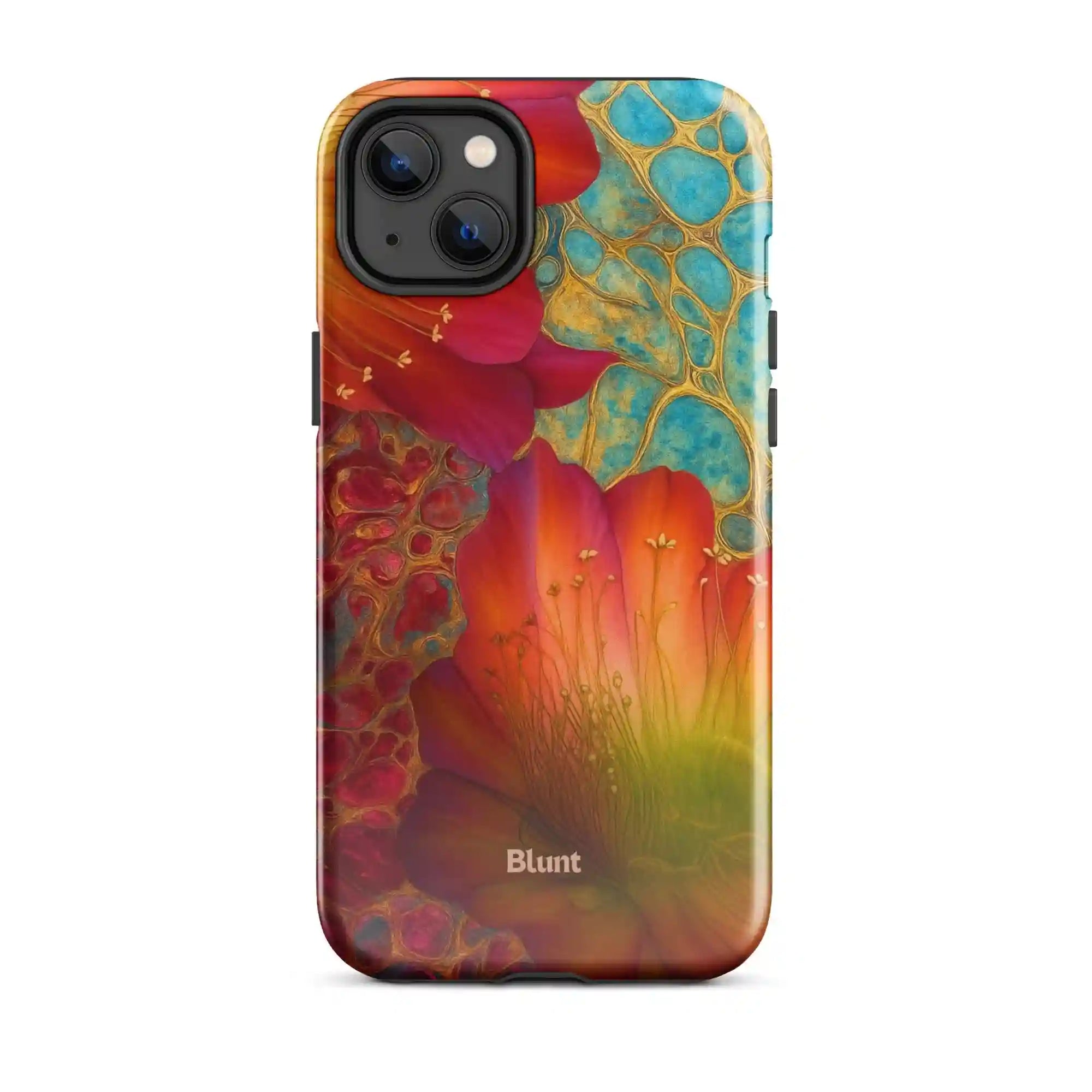 bluntcasesonline.com