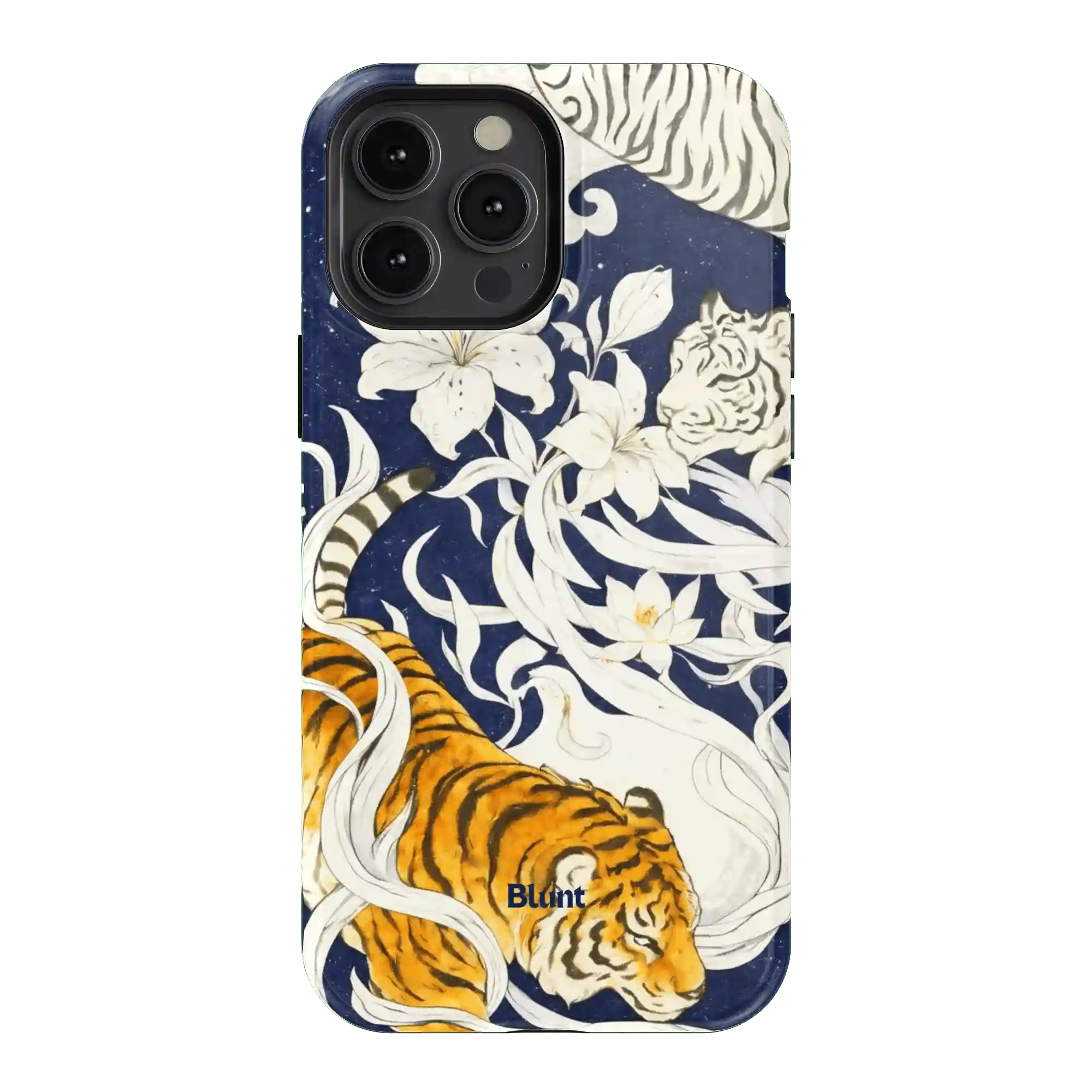 bluntcasesonline.com