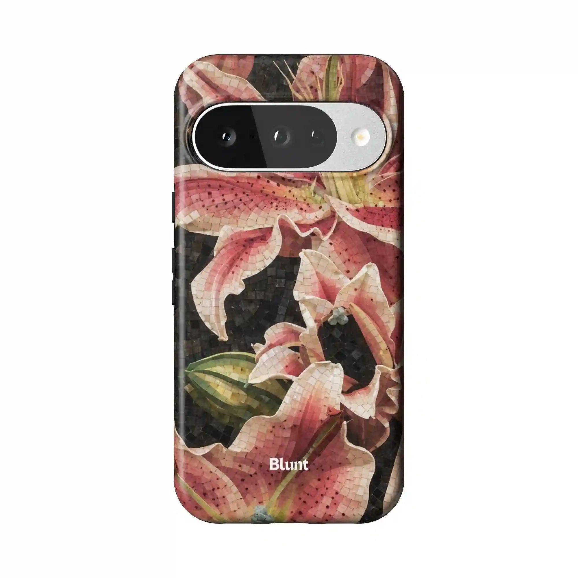 bluntcasesonline.com