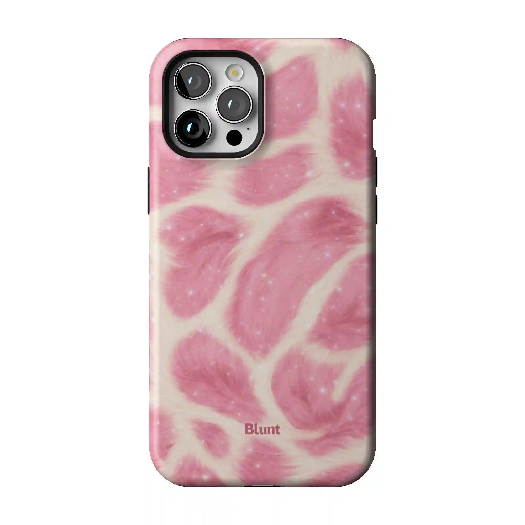 bluntcasesonline.com