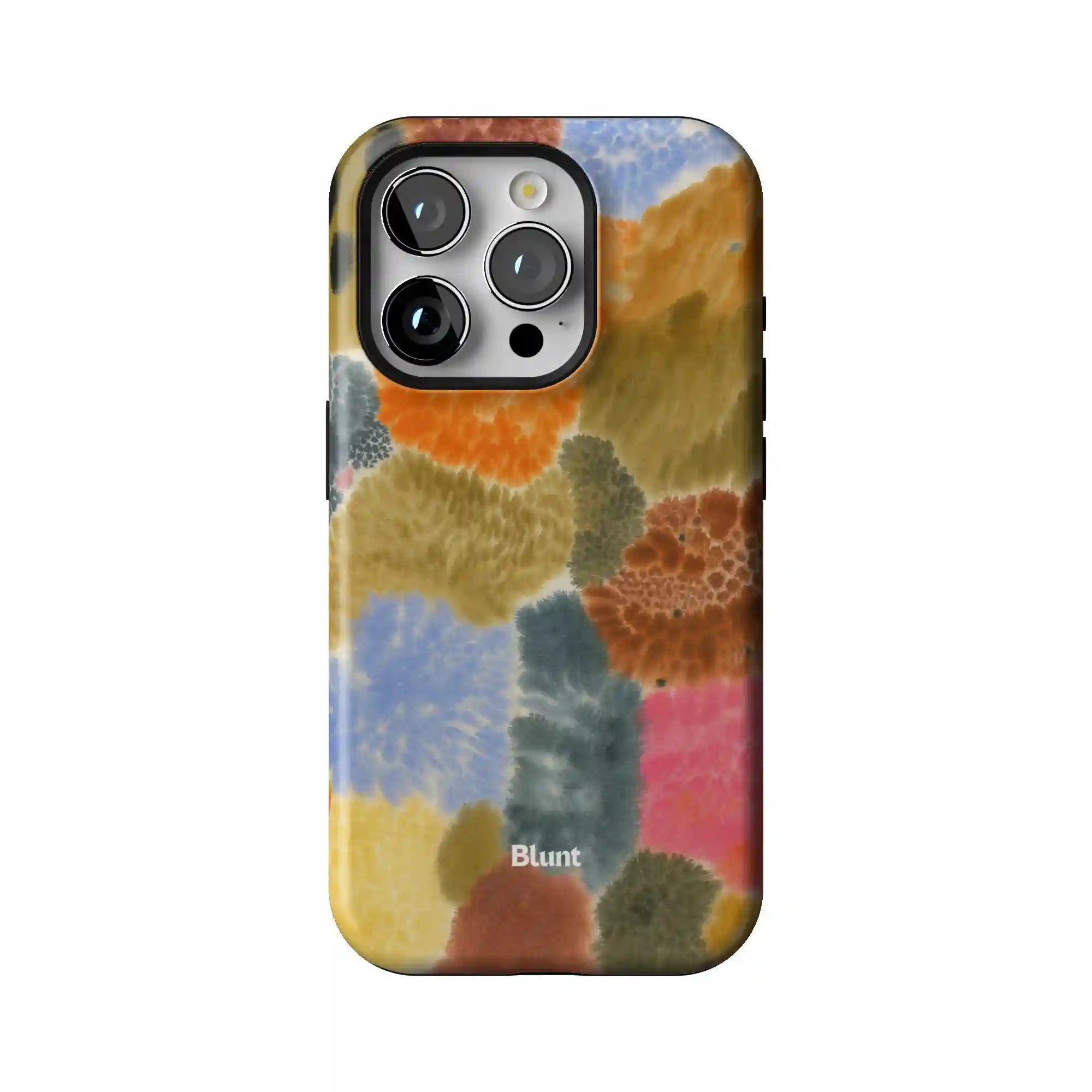 bluntcasesonline.com