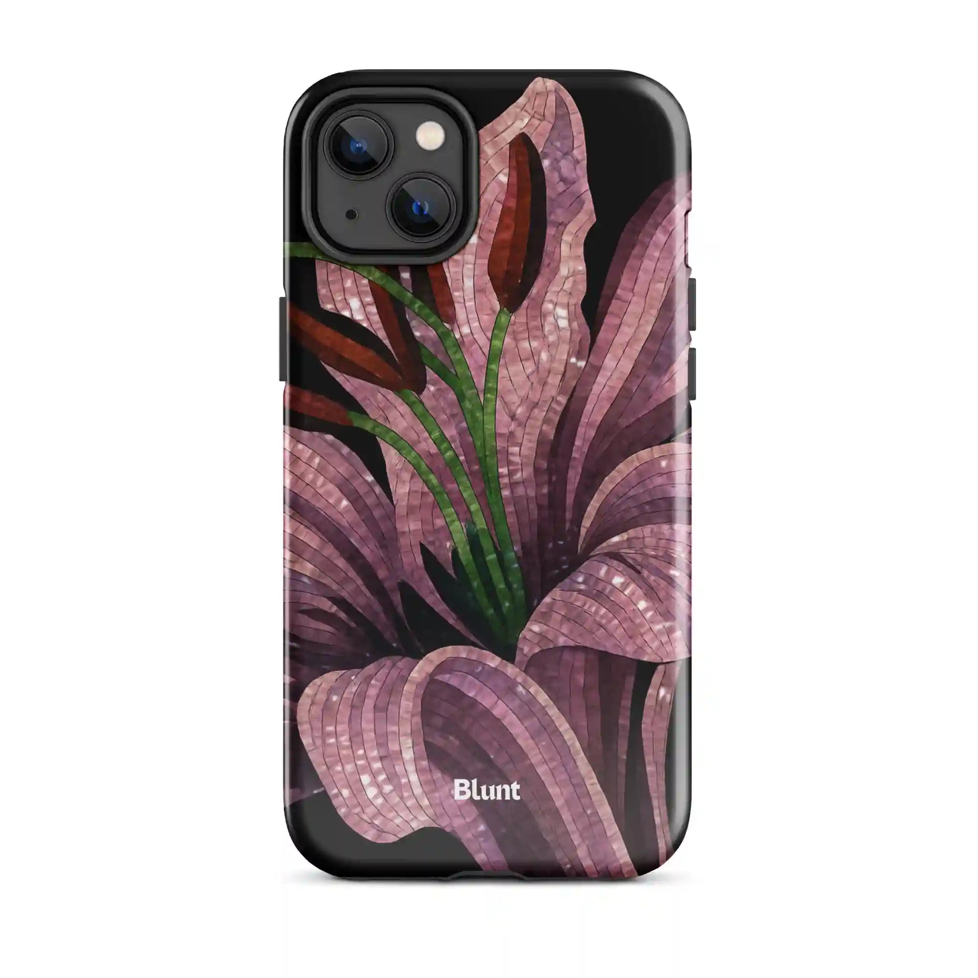 bluntcasesonline.com