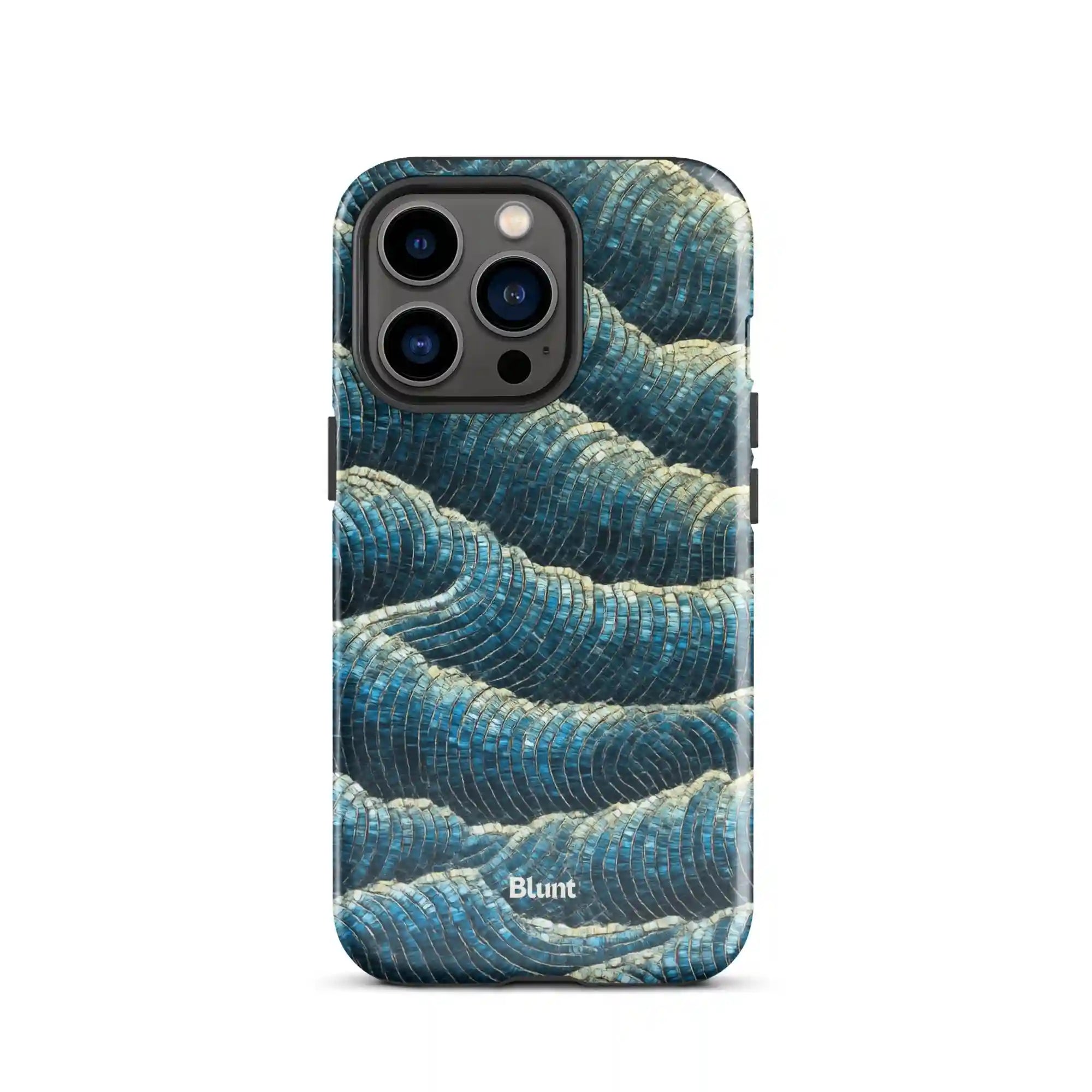 bluntcasesonline.com