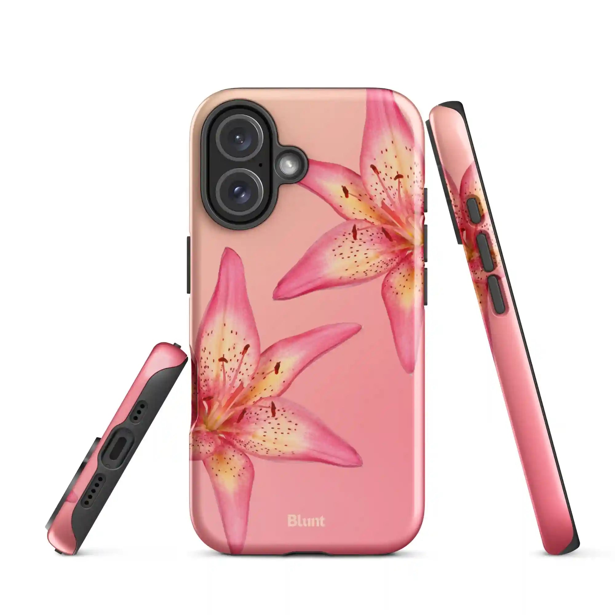 bluntcasesonline.com