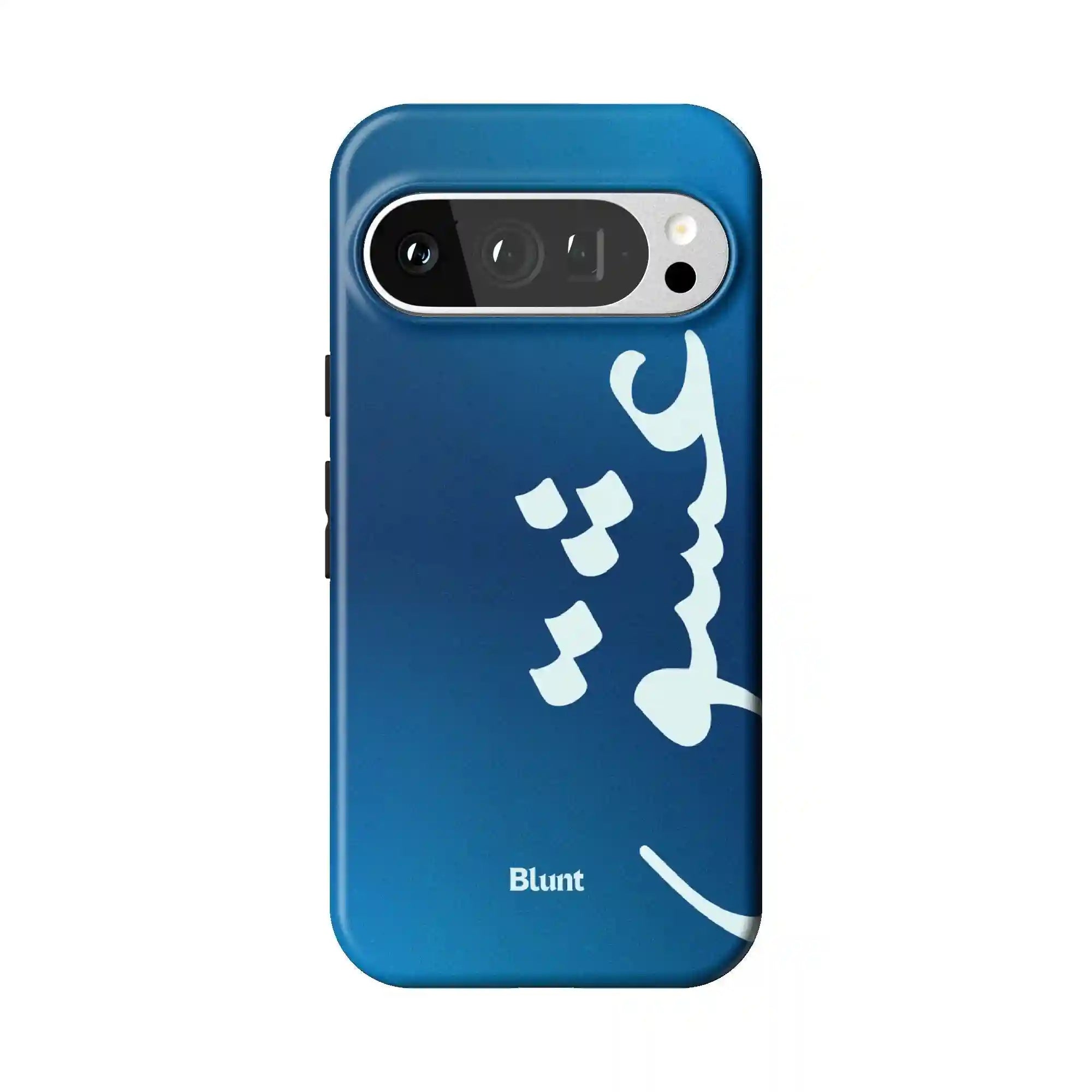 bluntcasesonline.com