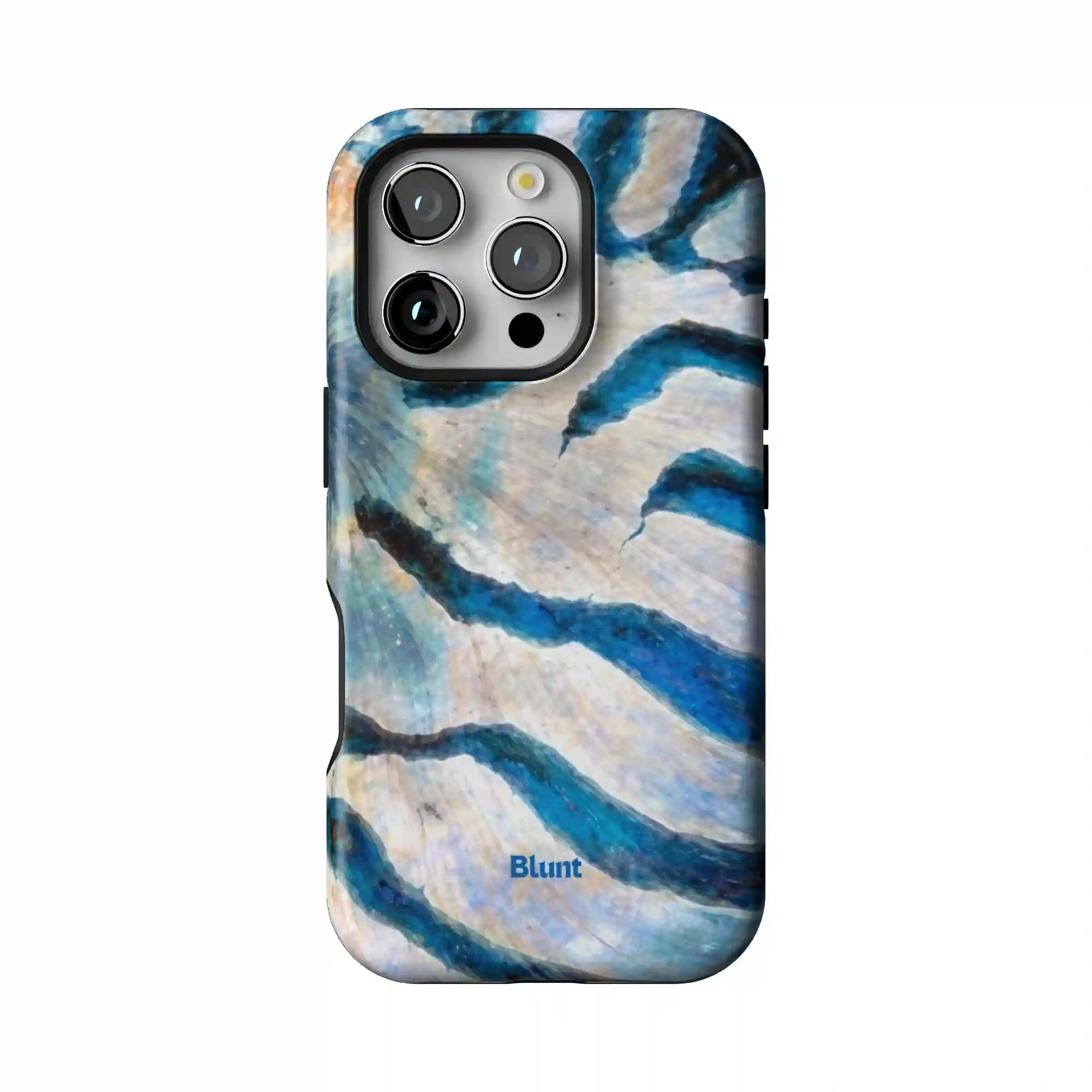 bluntcasesonline.com