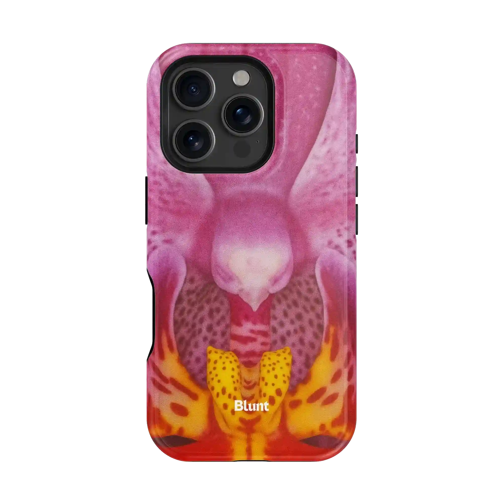 bluntcasesonline.com