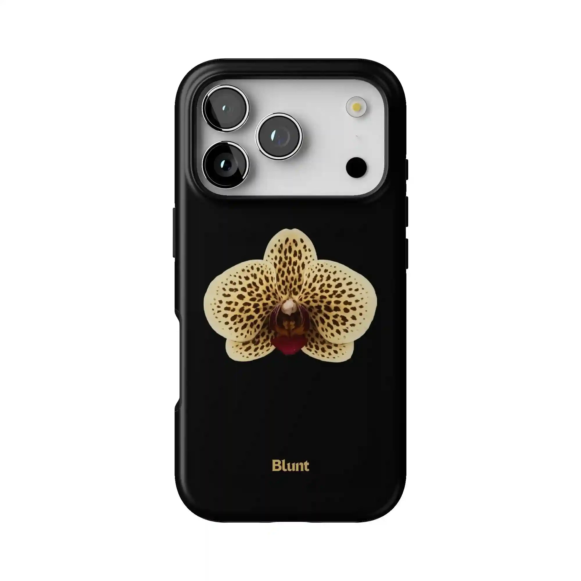 bluntcasesonline.com