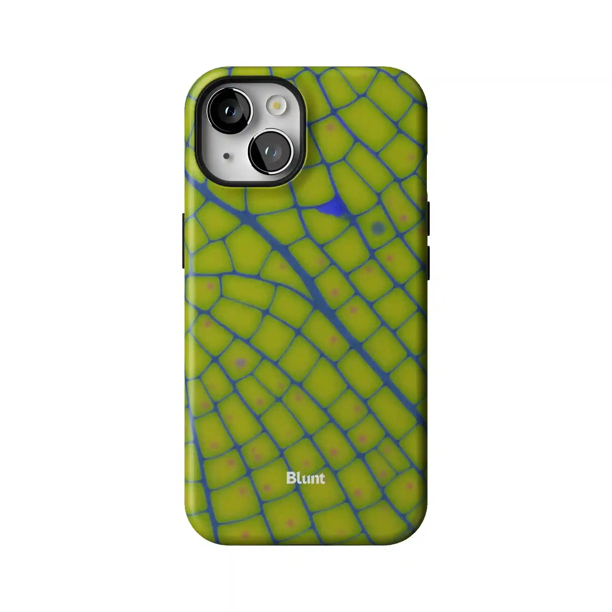 bluntcasesonline.com