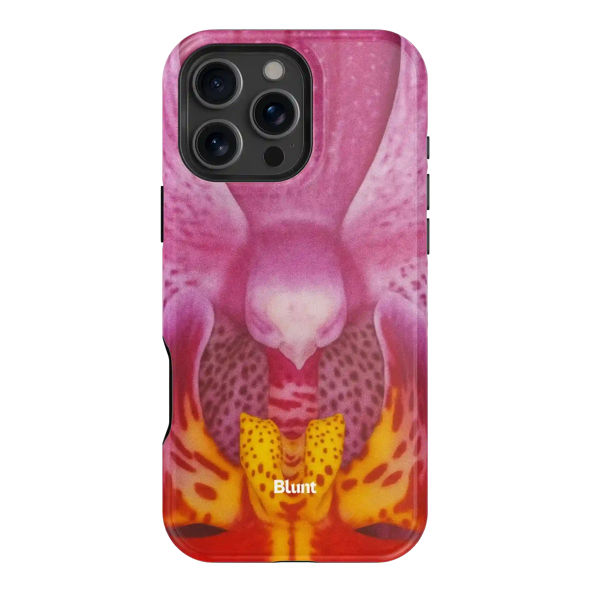 bluntcasesonline.com
