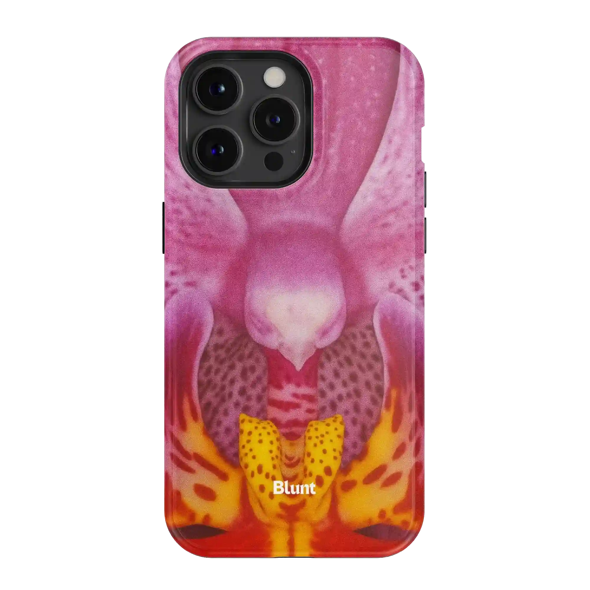 bluntcasesonline.com