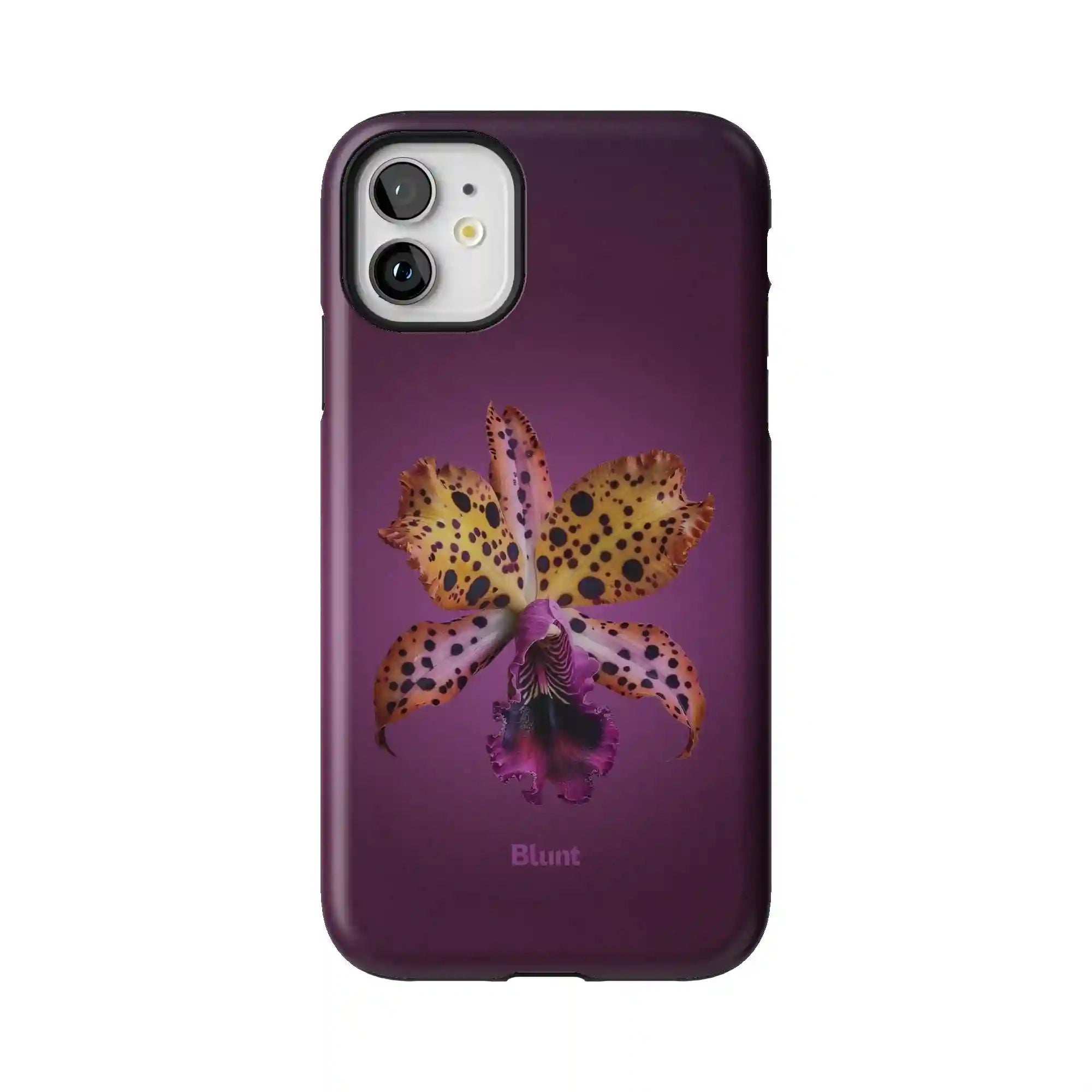 bluntcasesonline.com