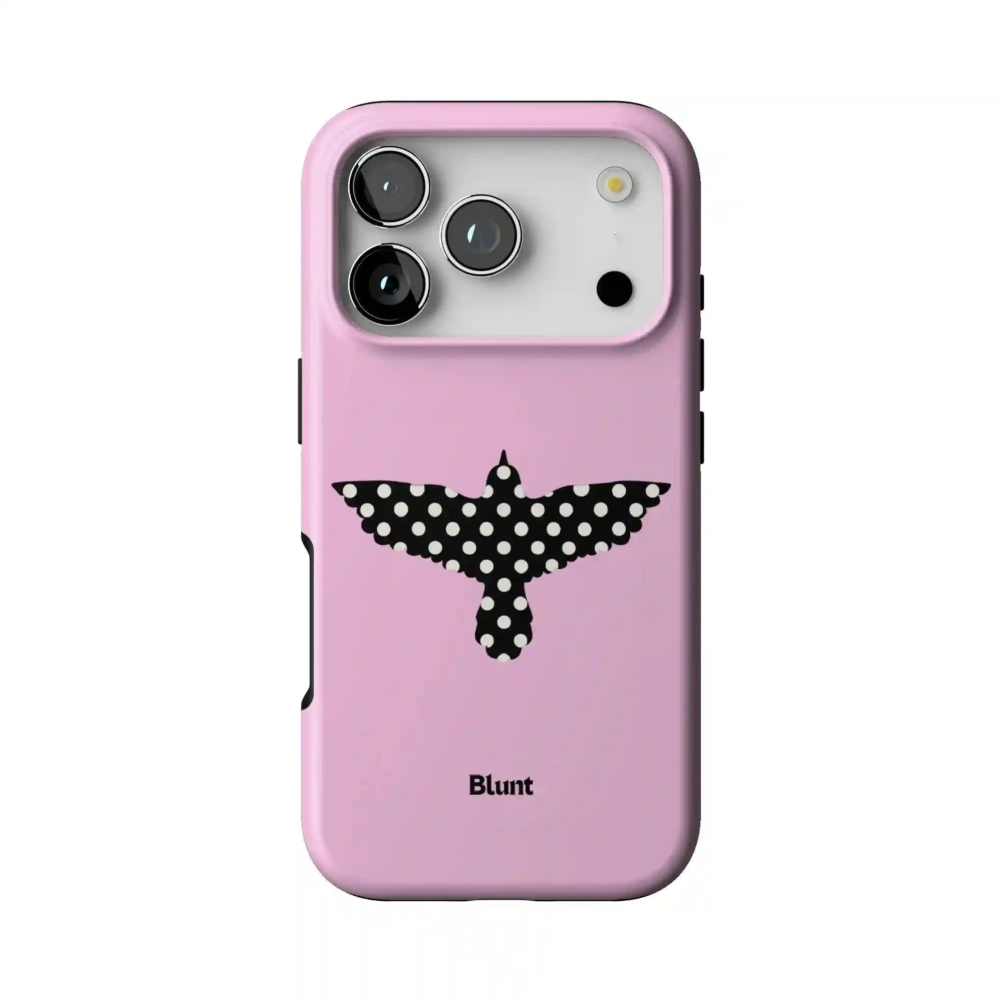 bluntcasesonline.com