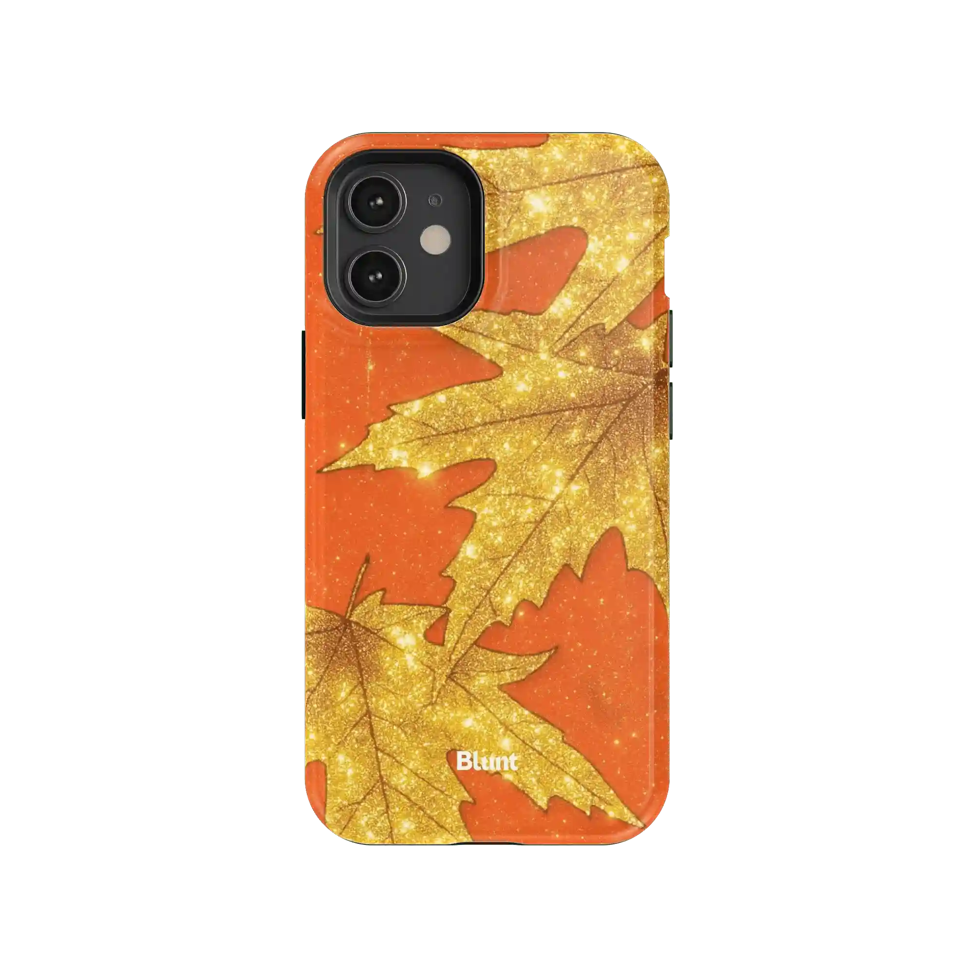 bluntcasesonline.com