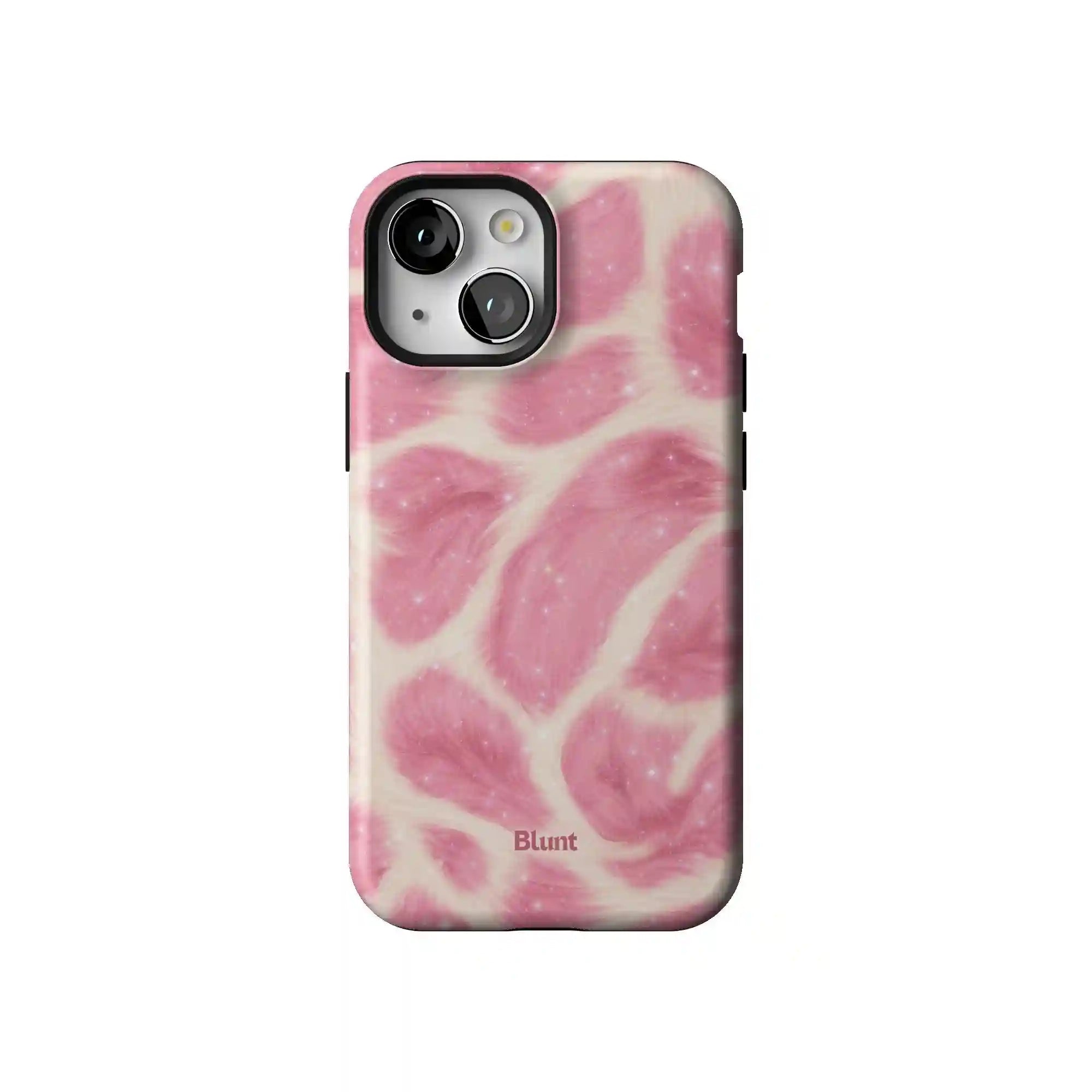 bluntcasesonline.com