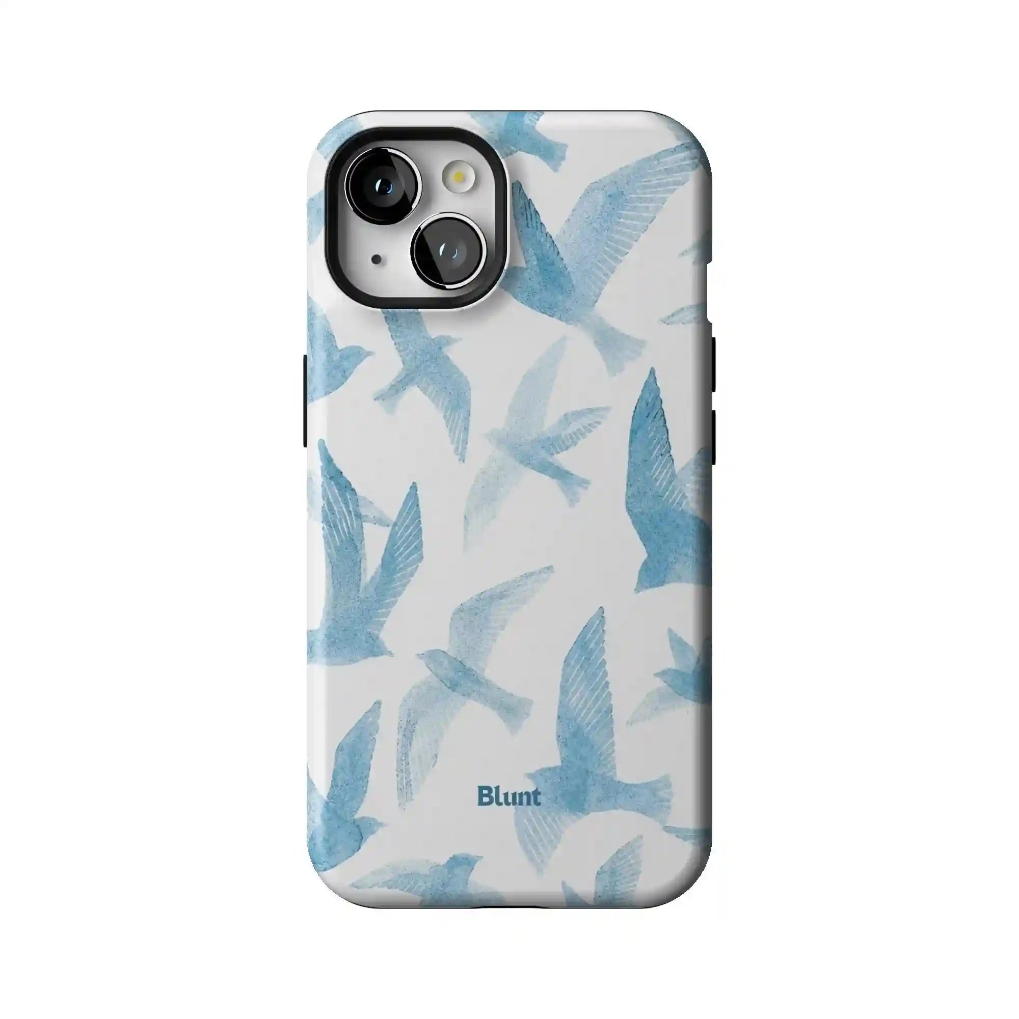 bluntcasesonline.com