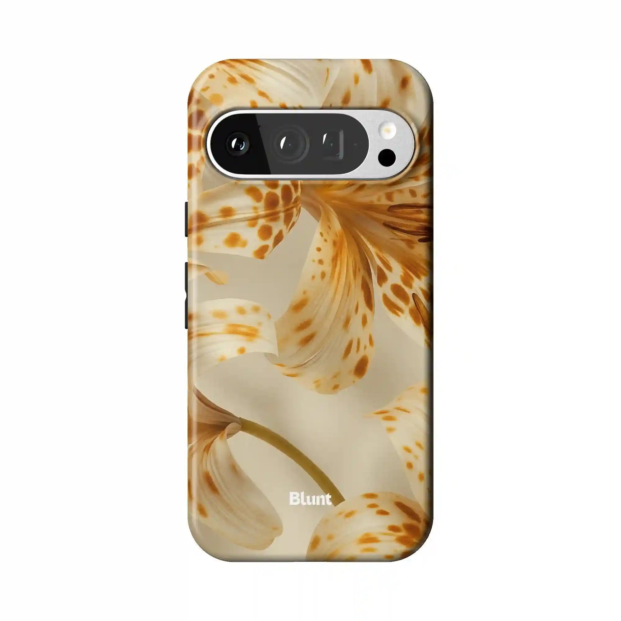 bluntcasesonline.com