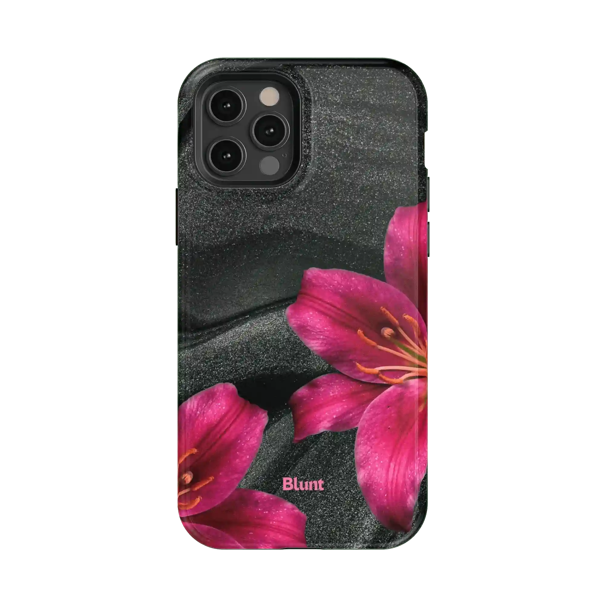 bluntcasesonline.com