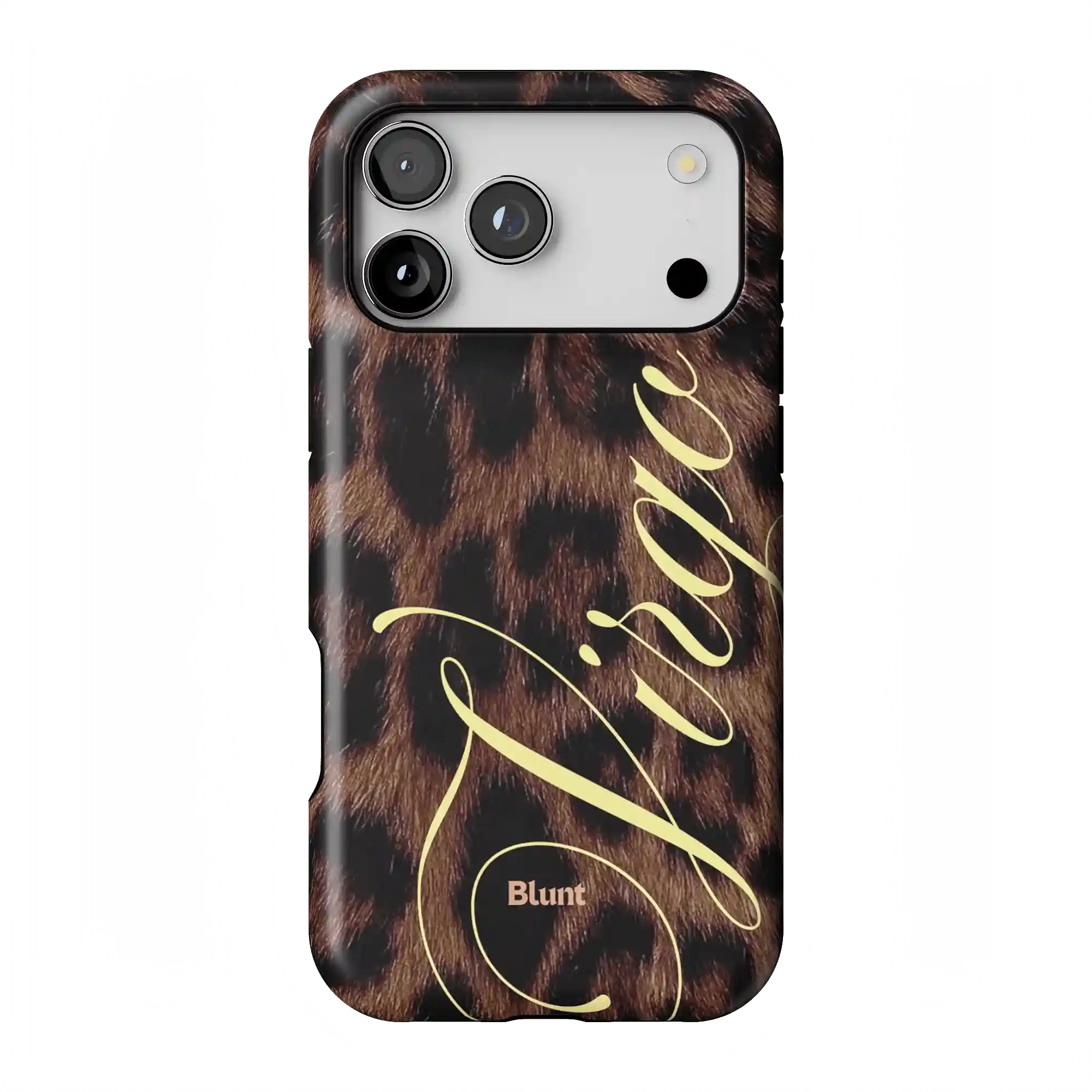 bluntcasesonline.com