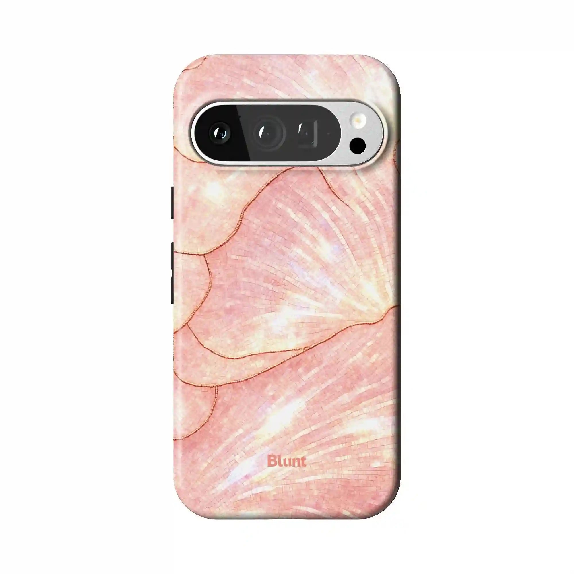 bluntcasesonline.com