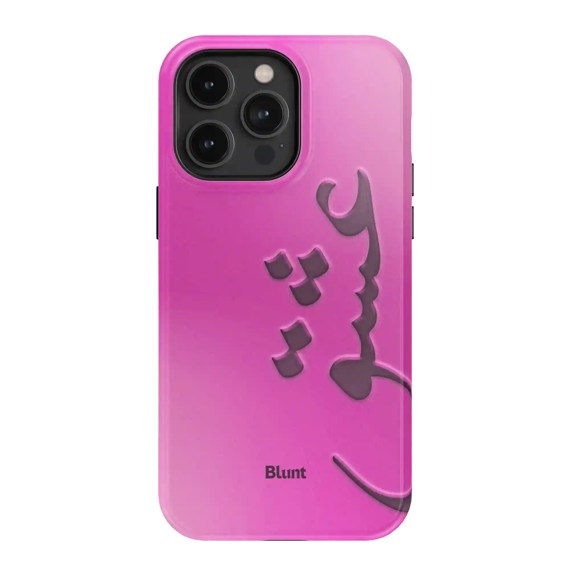bluntcasesonline.com