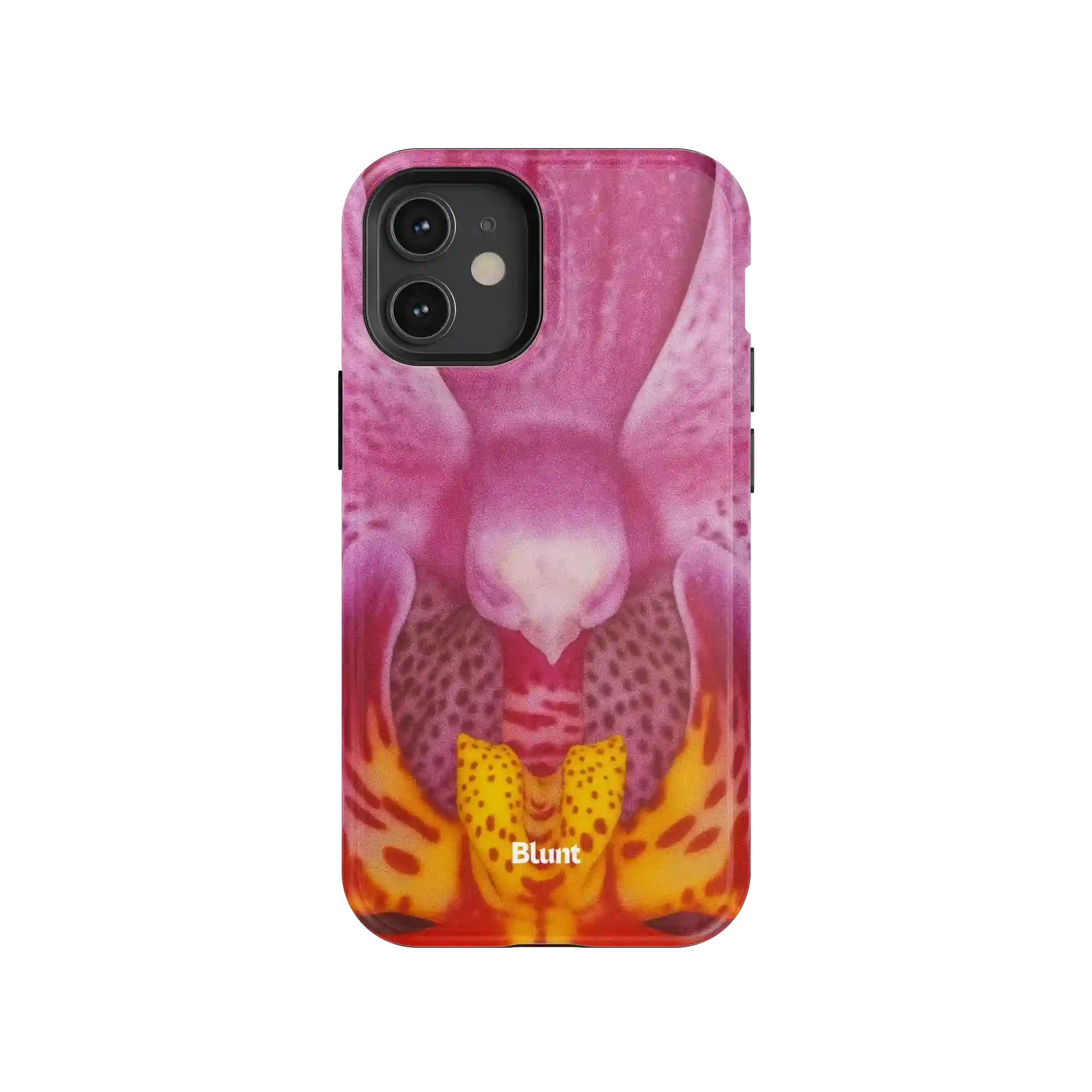bluntcasesonline.com