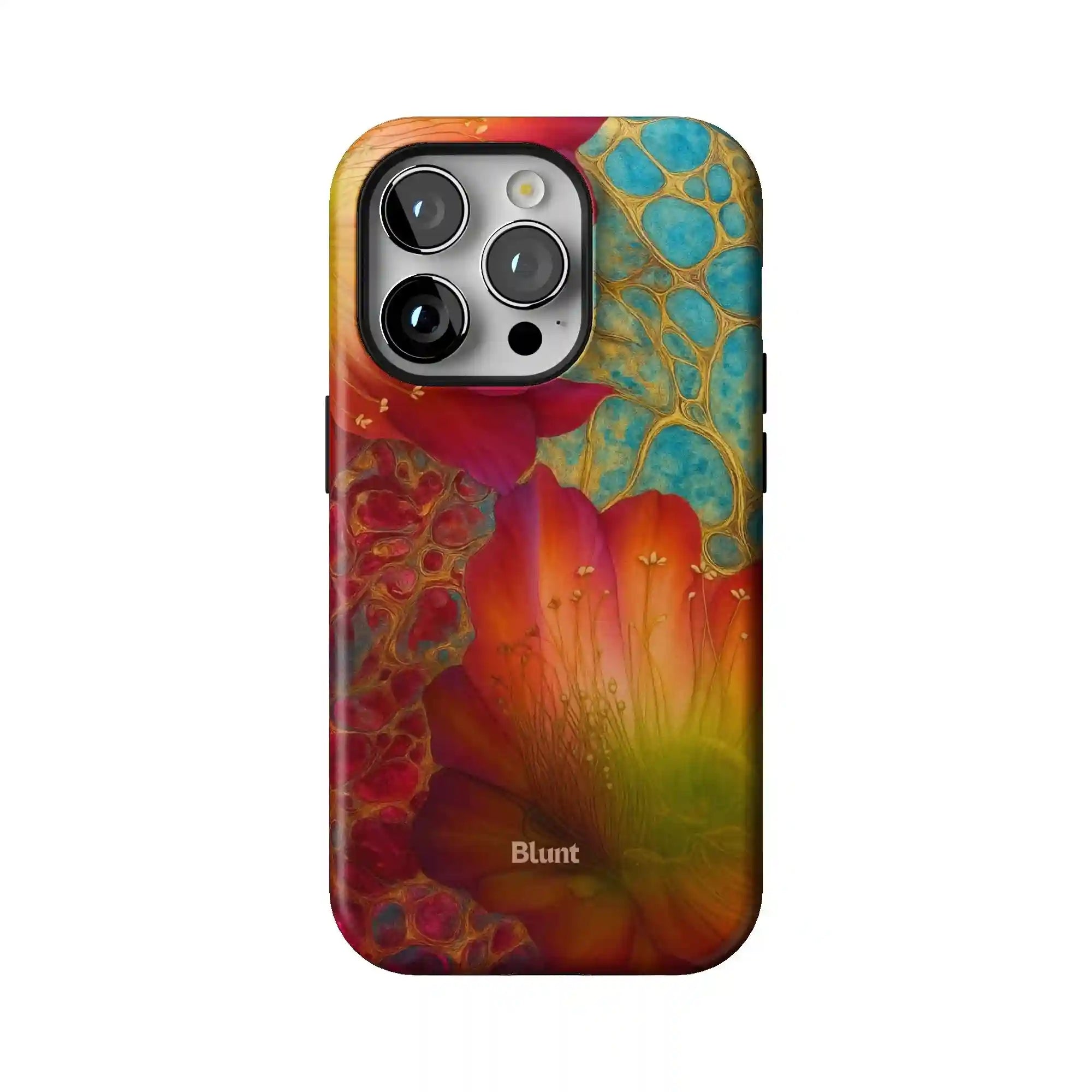bluntcasesonline.com