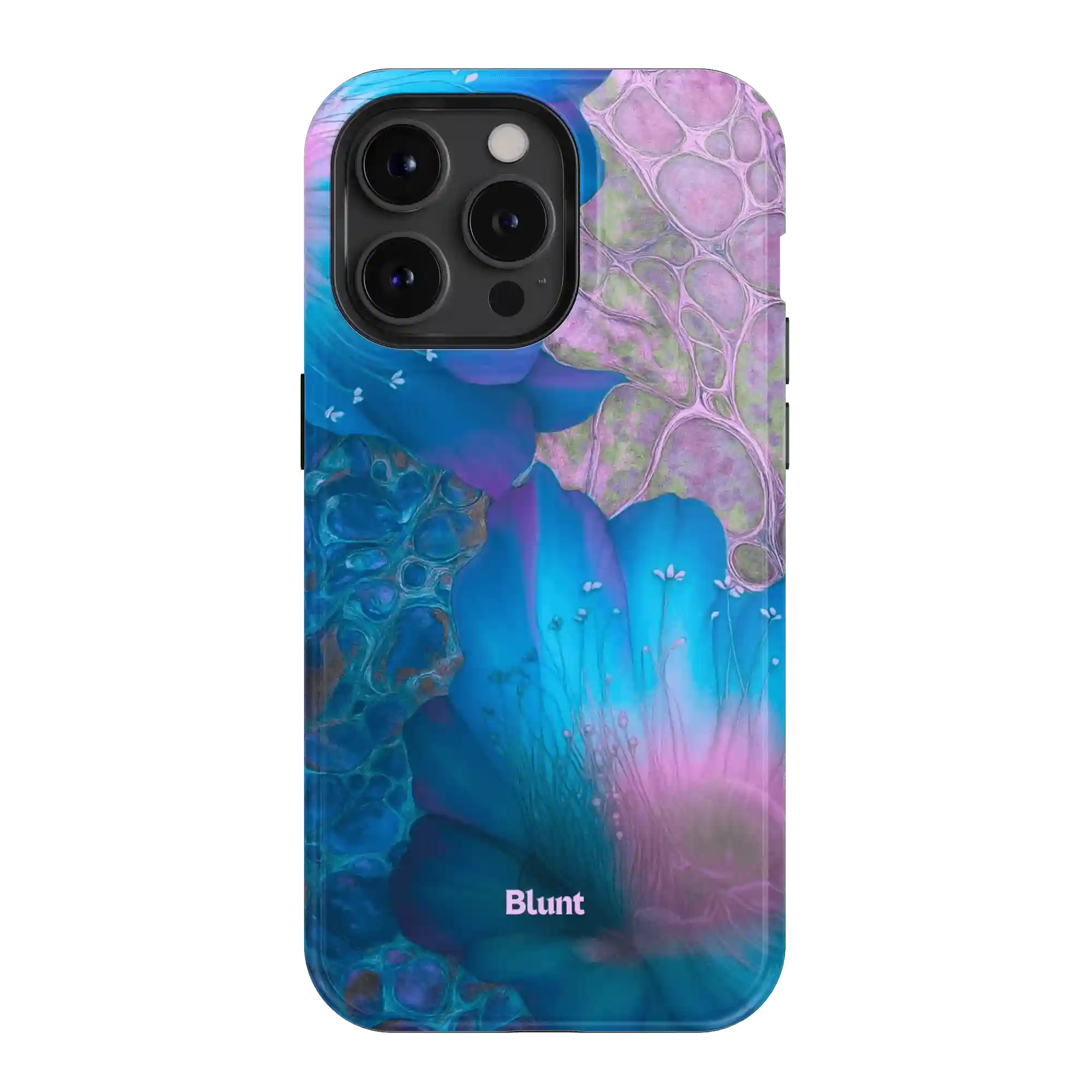 bluntcasesonline.com