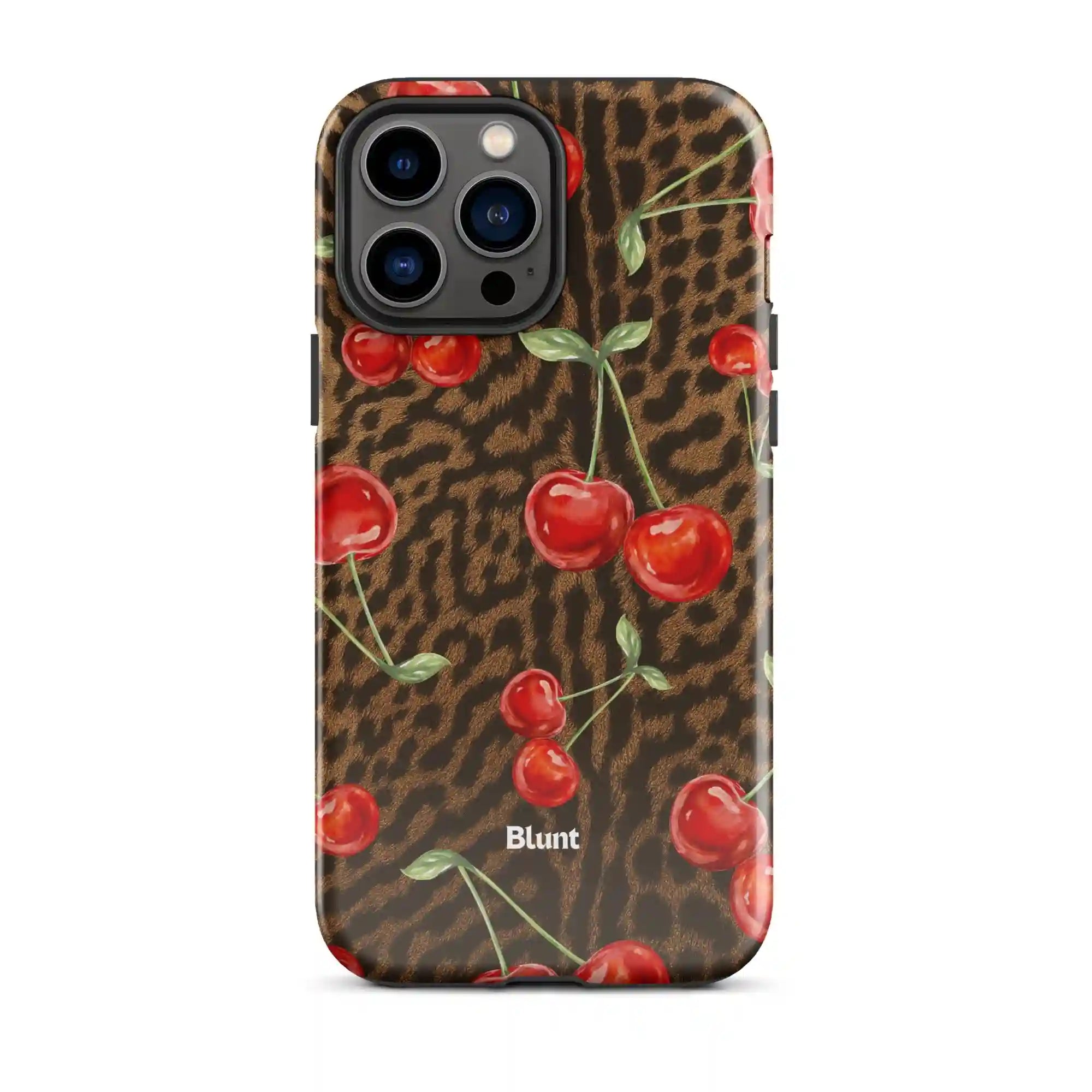 bluntcasesonline.com