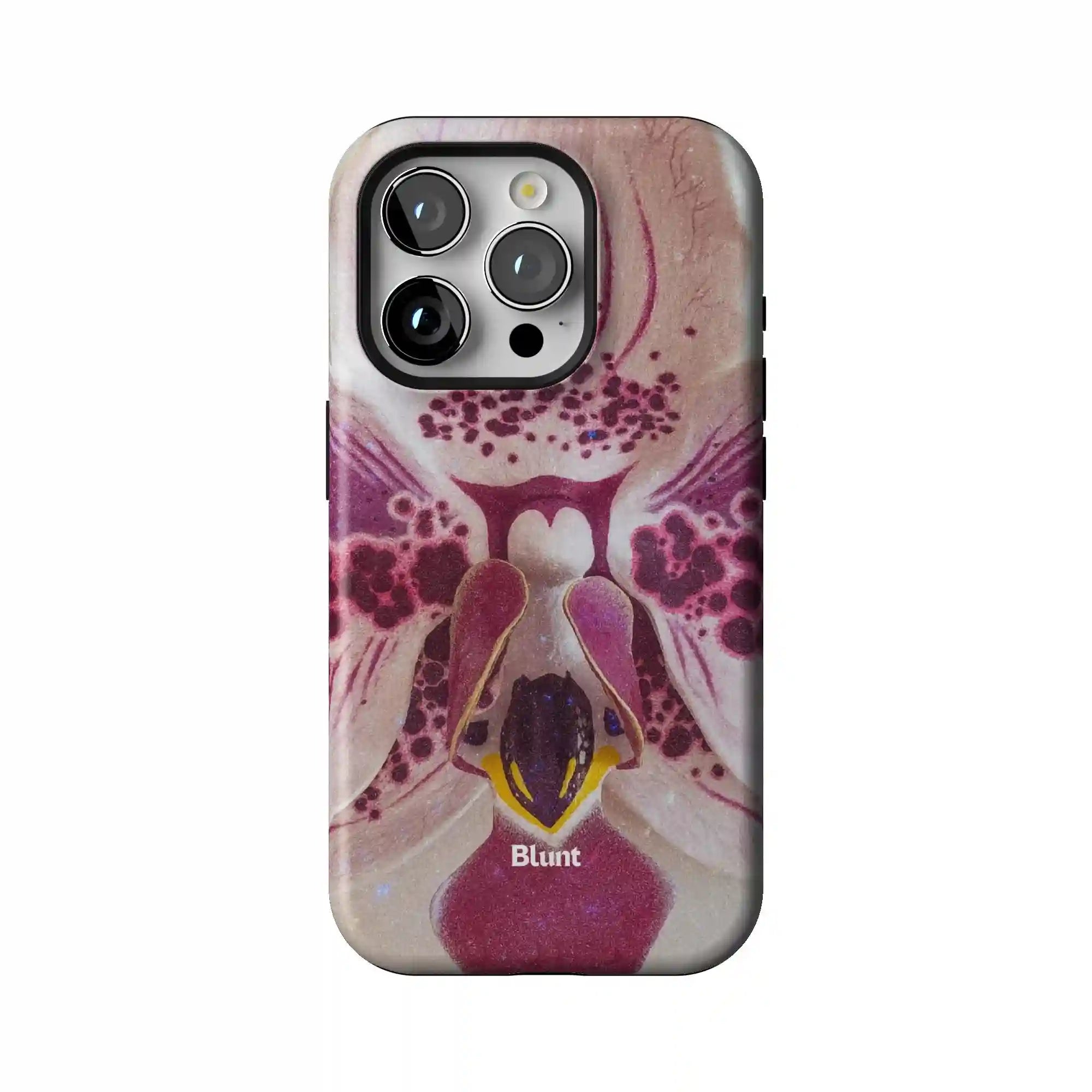 bluntcasesonline.com