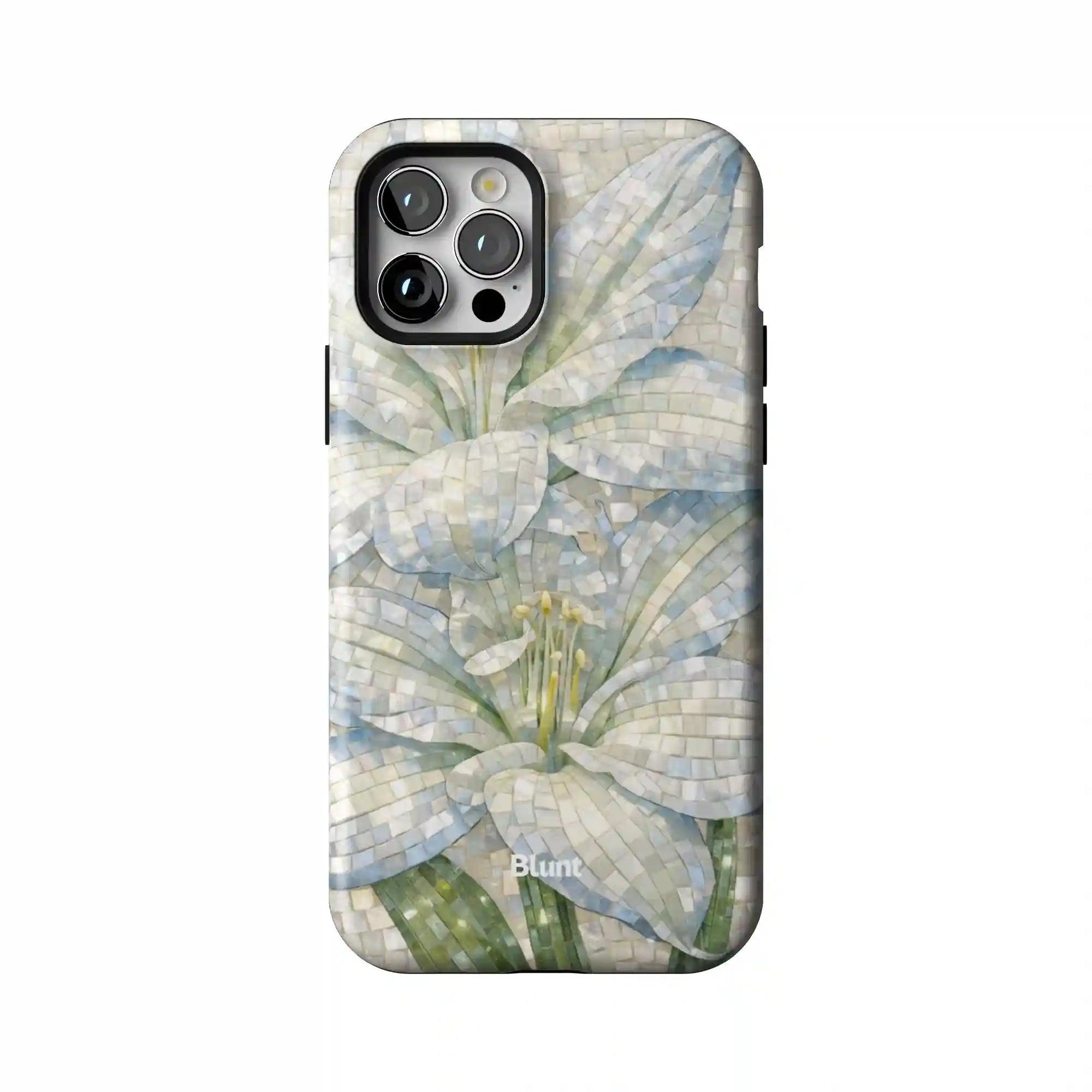 bluntcasesonline.com