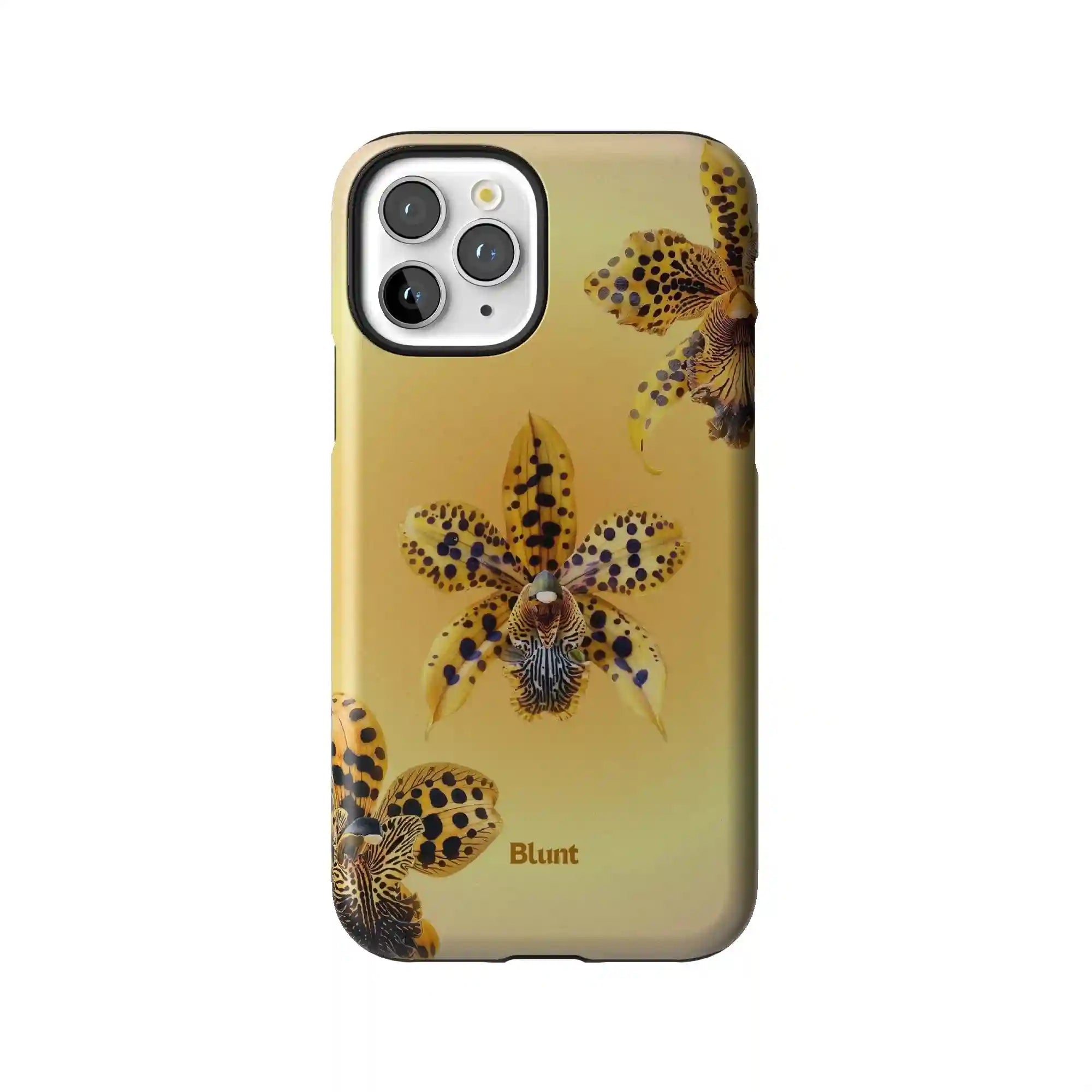 bluntcasesonline.com
