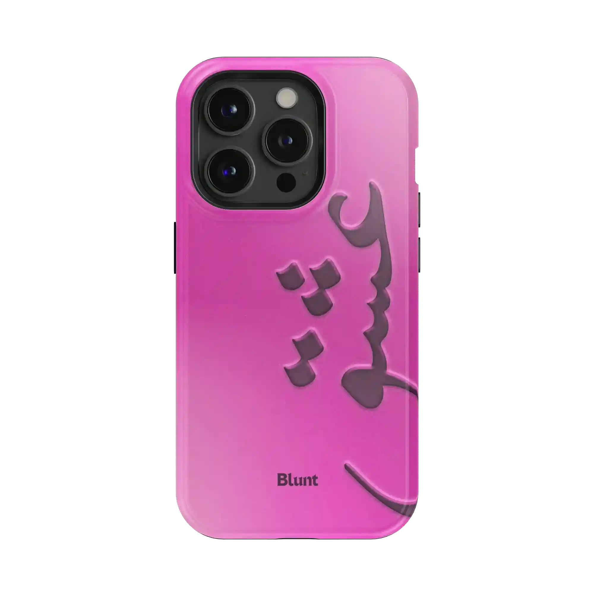 bluntcasesonline.com
