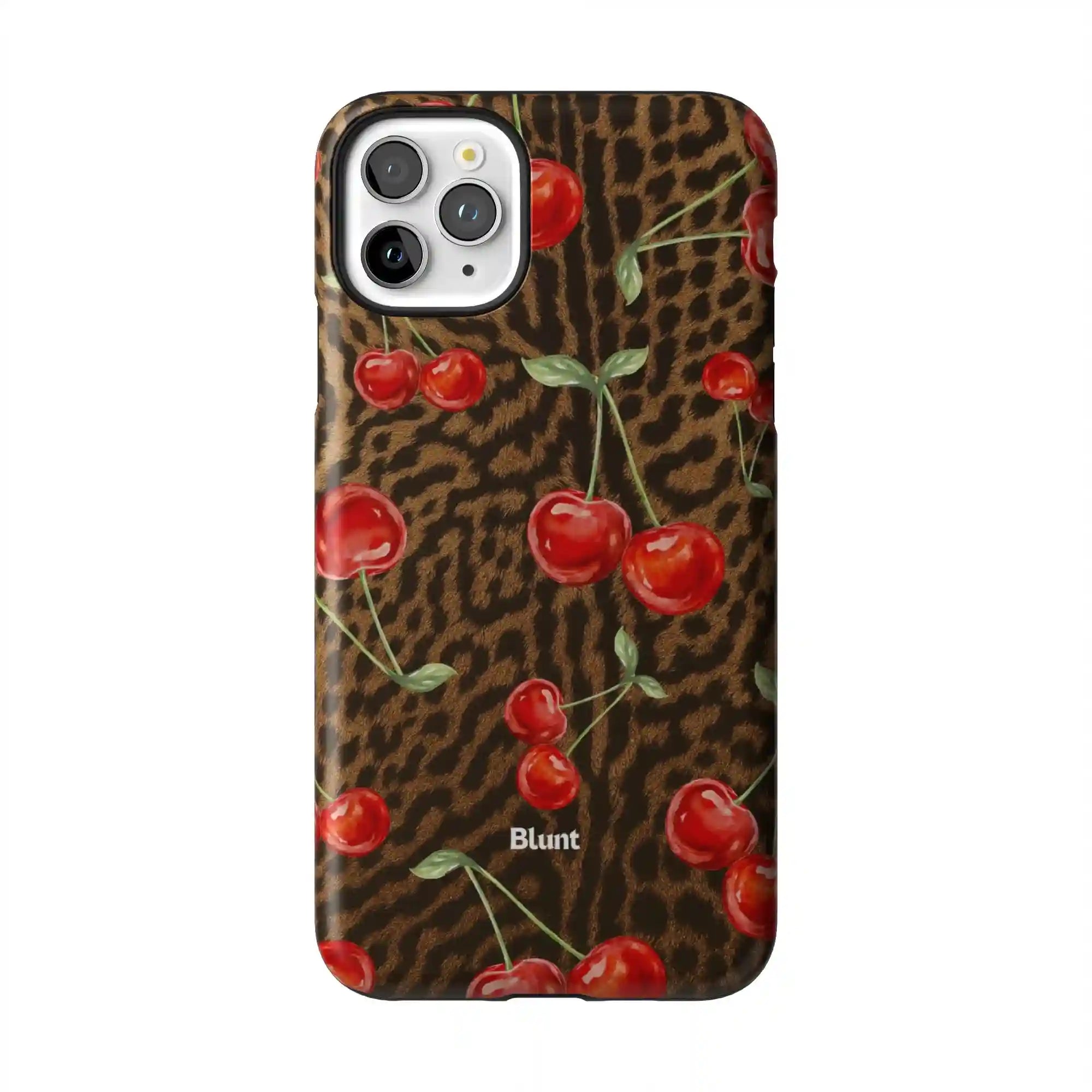 bluntcasesonline.com